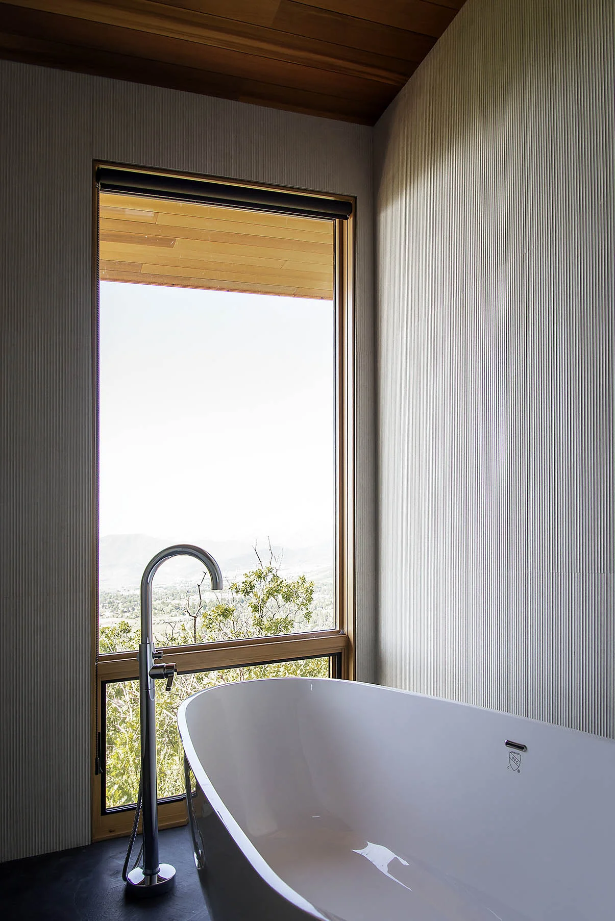 Bath Tub Web.jpg