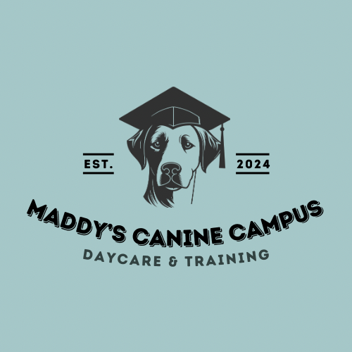 Maddy.png