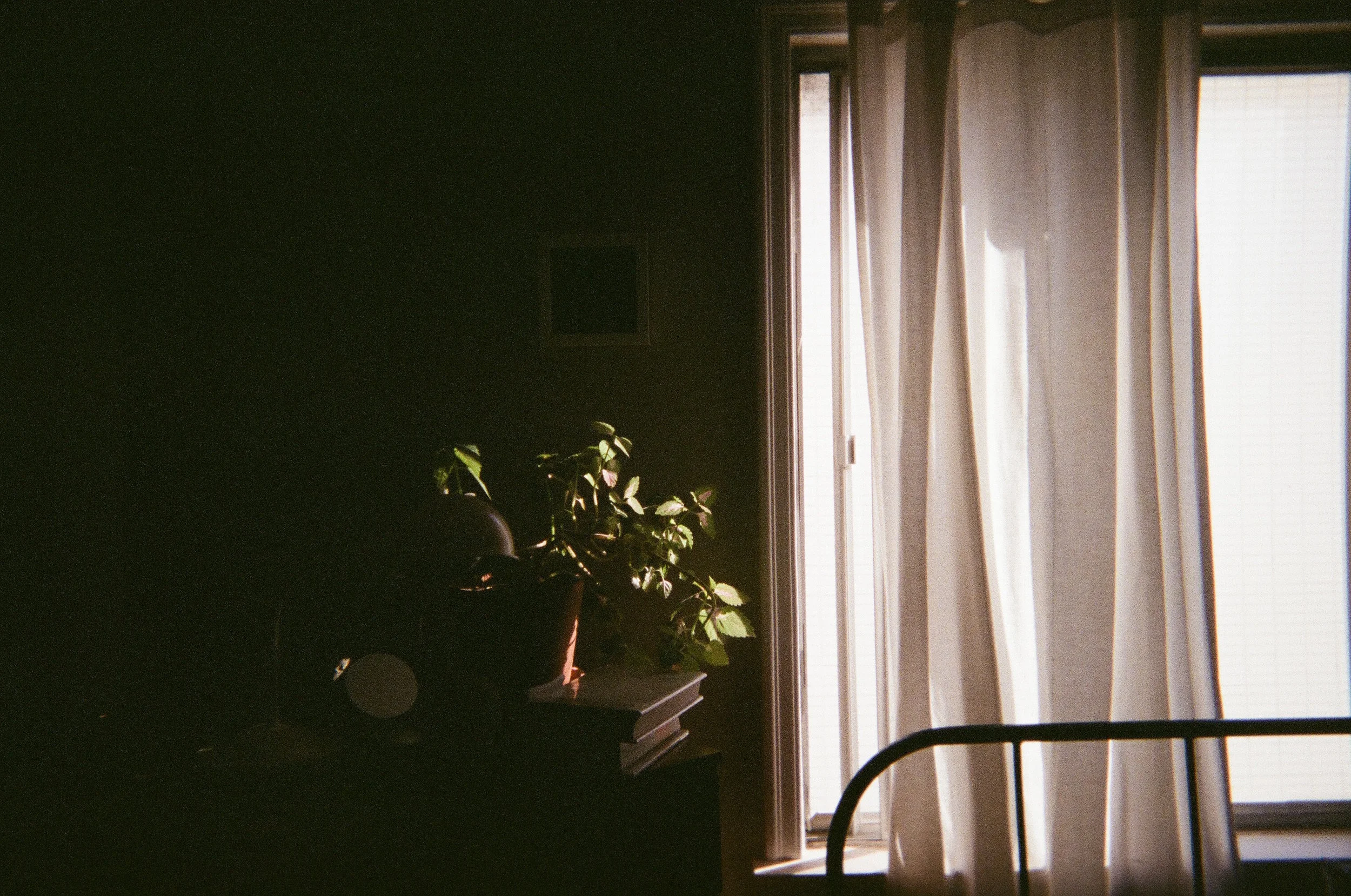 We moved back into the same apartment and slept (almost) every night in the same bed.