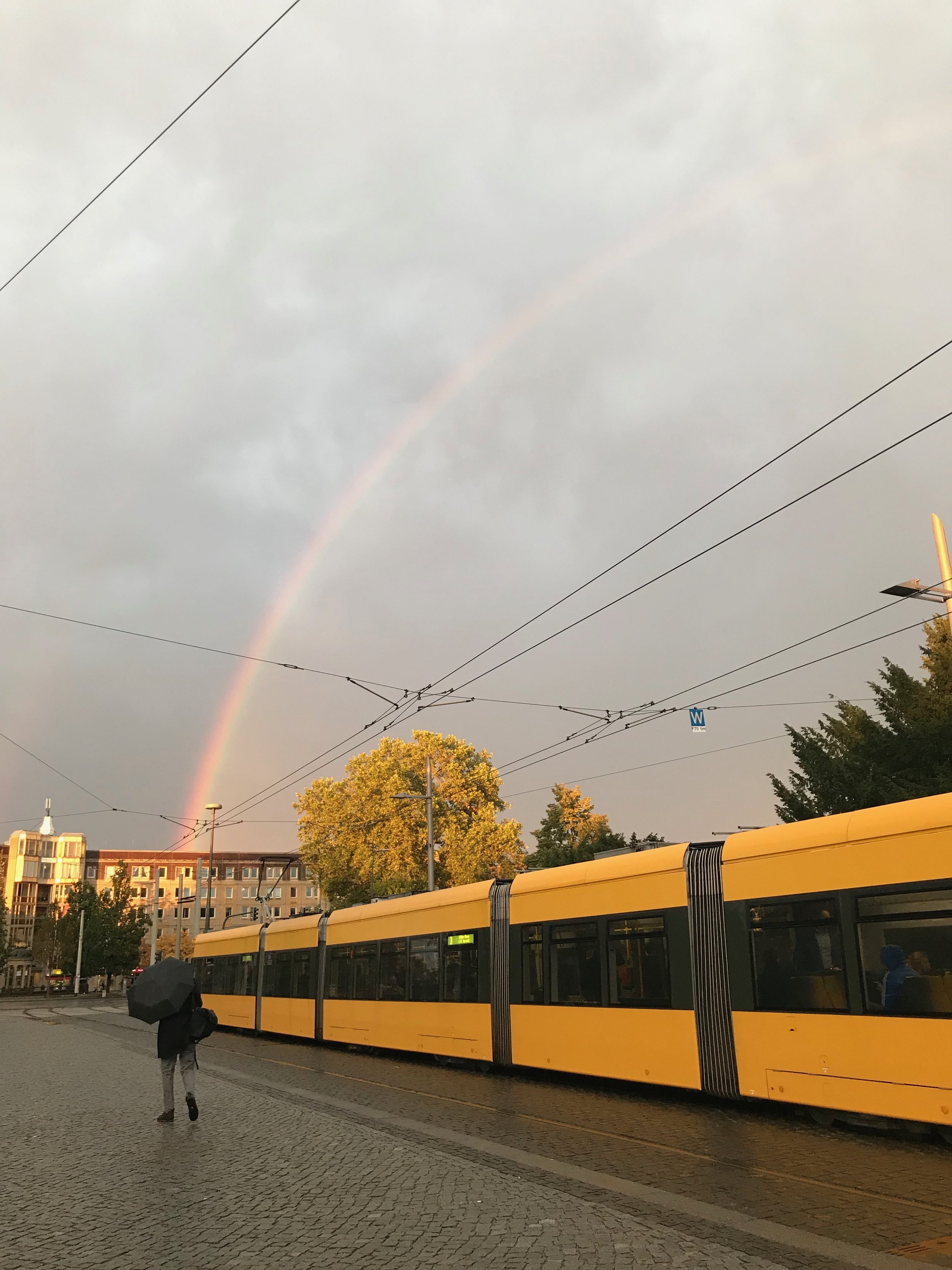 IMG_0953.jpeg
