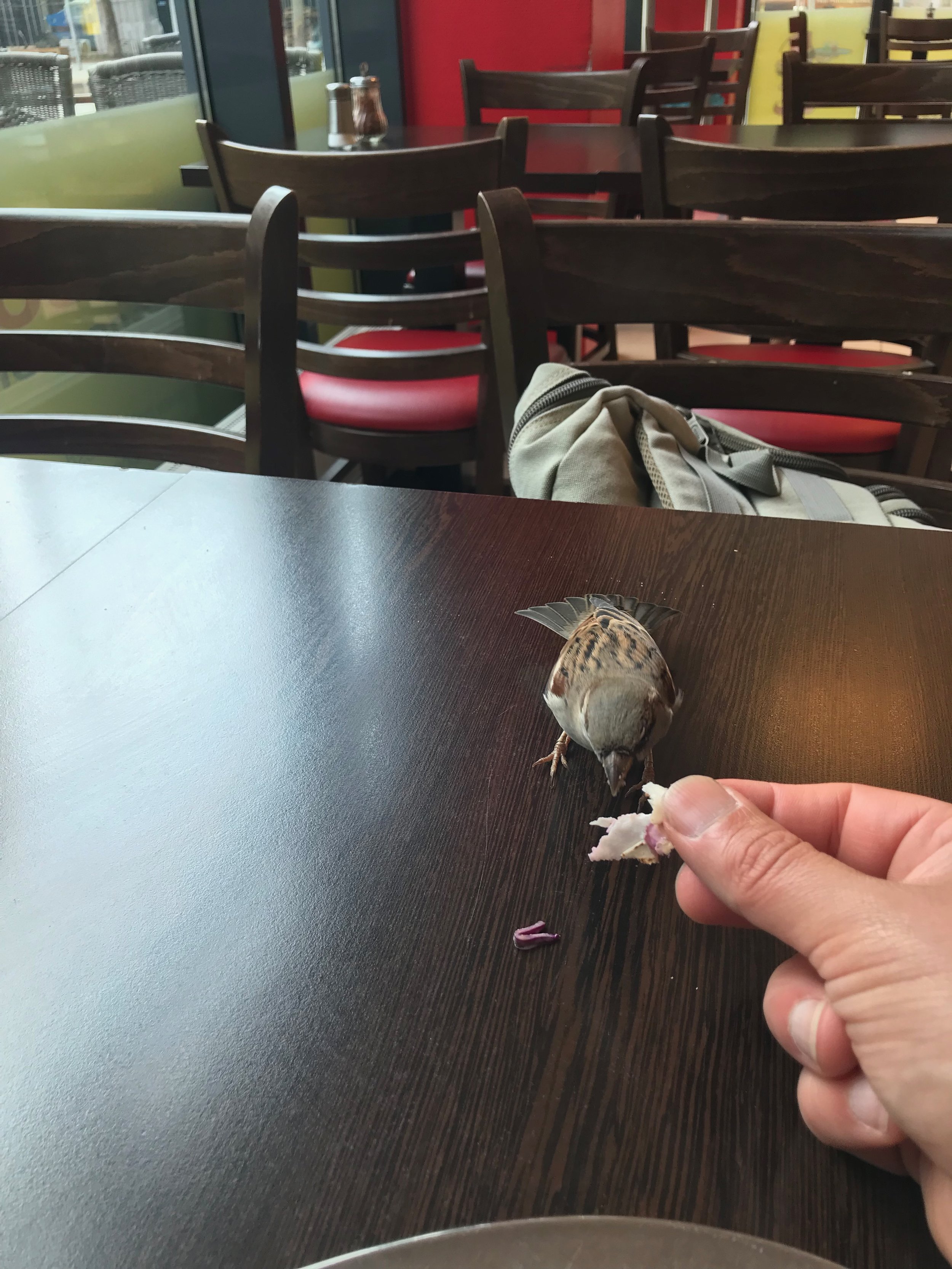 IMG_1036.jpeg