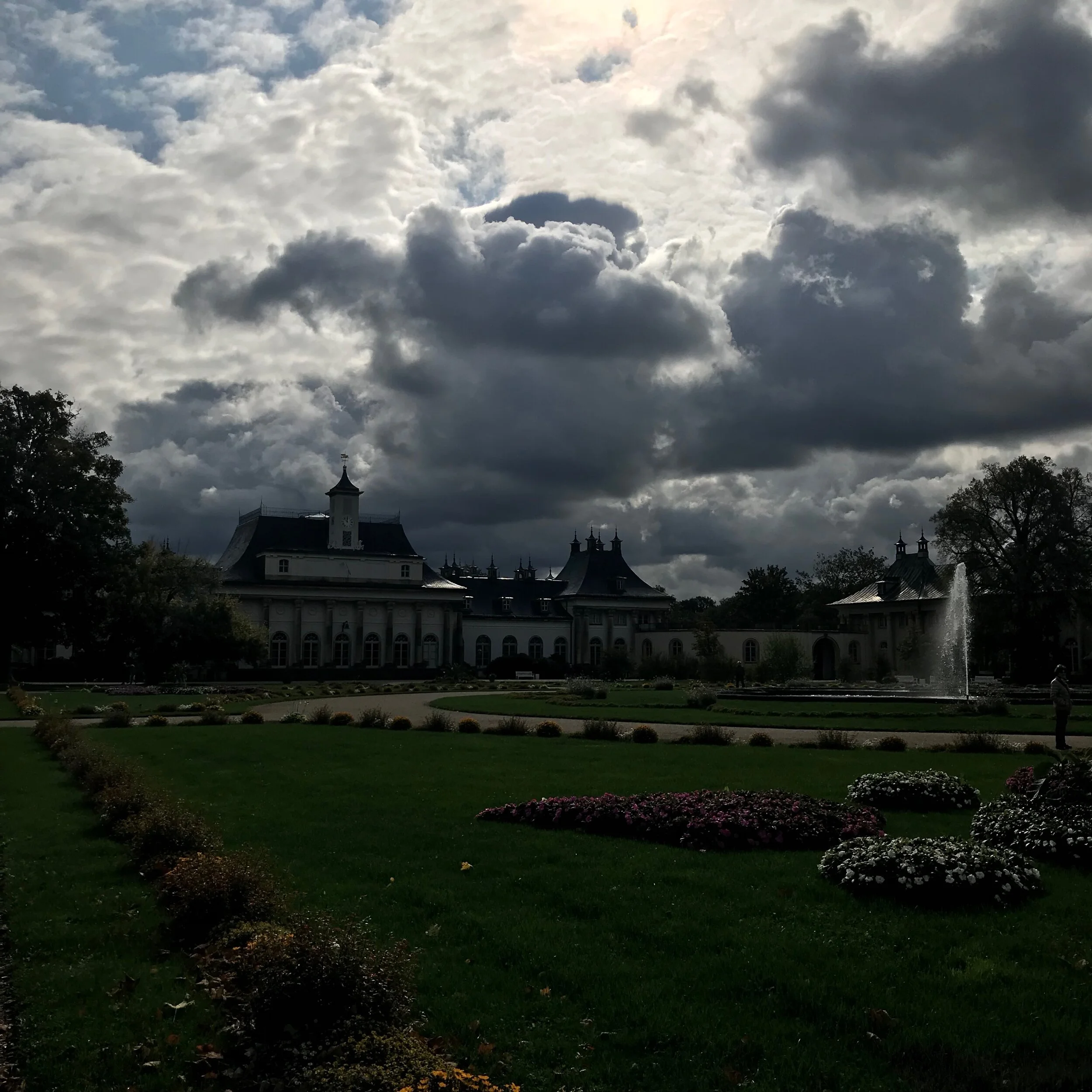 IMG_1231.jpeg