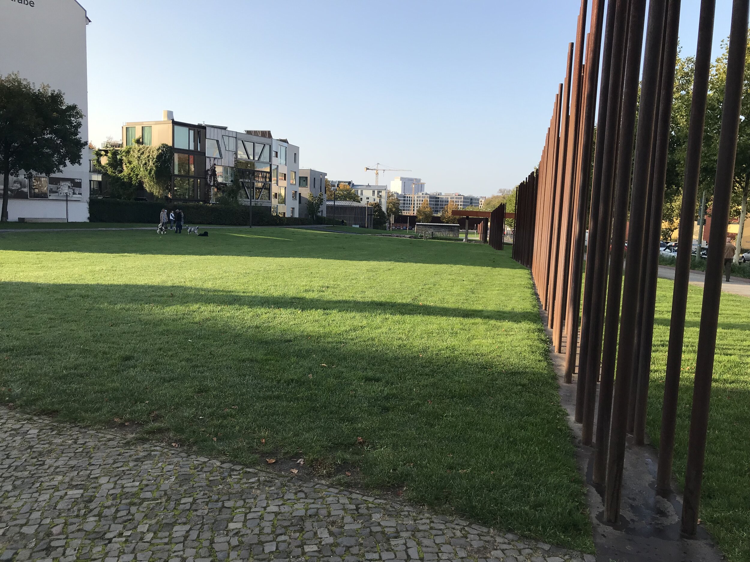 IMG_1650.jpeg