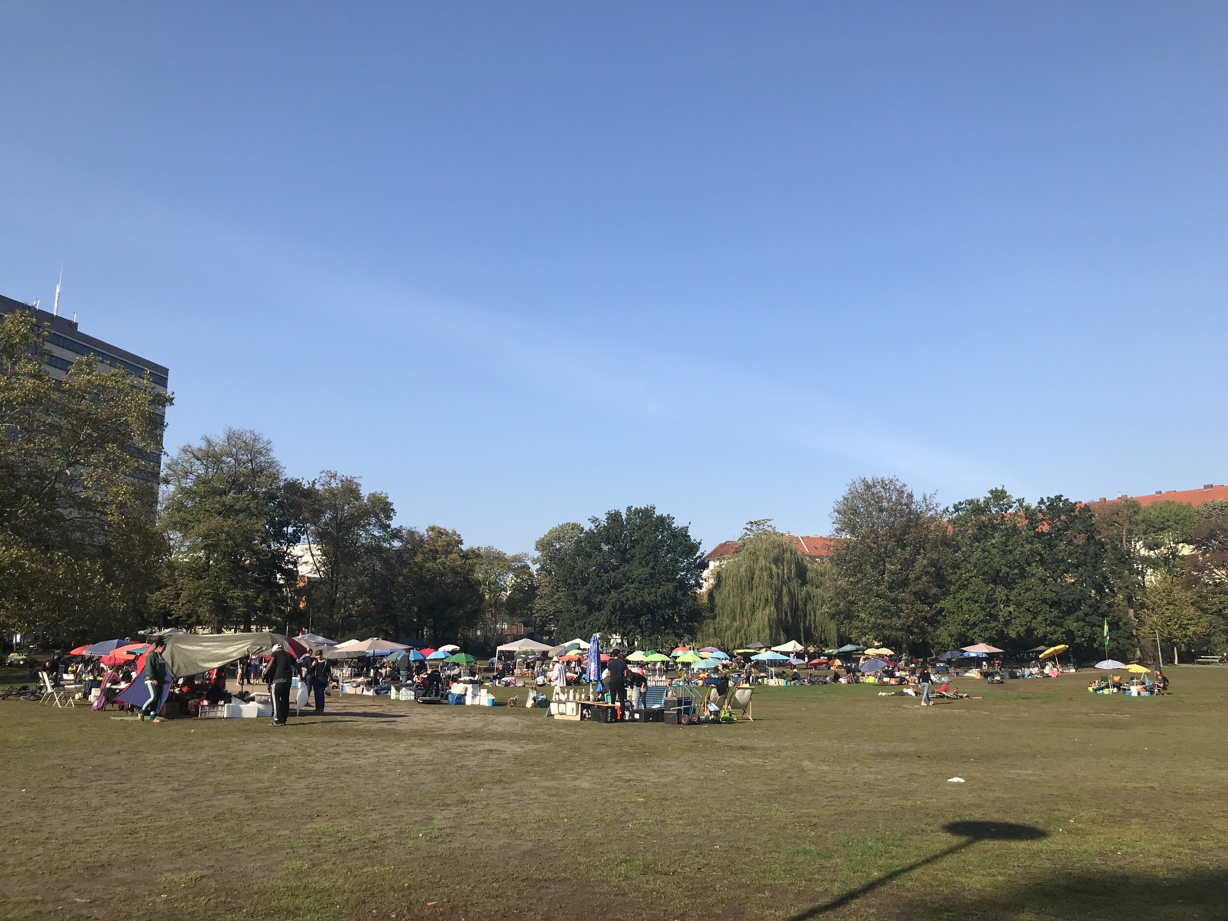 IMG_1681.jpeg