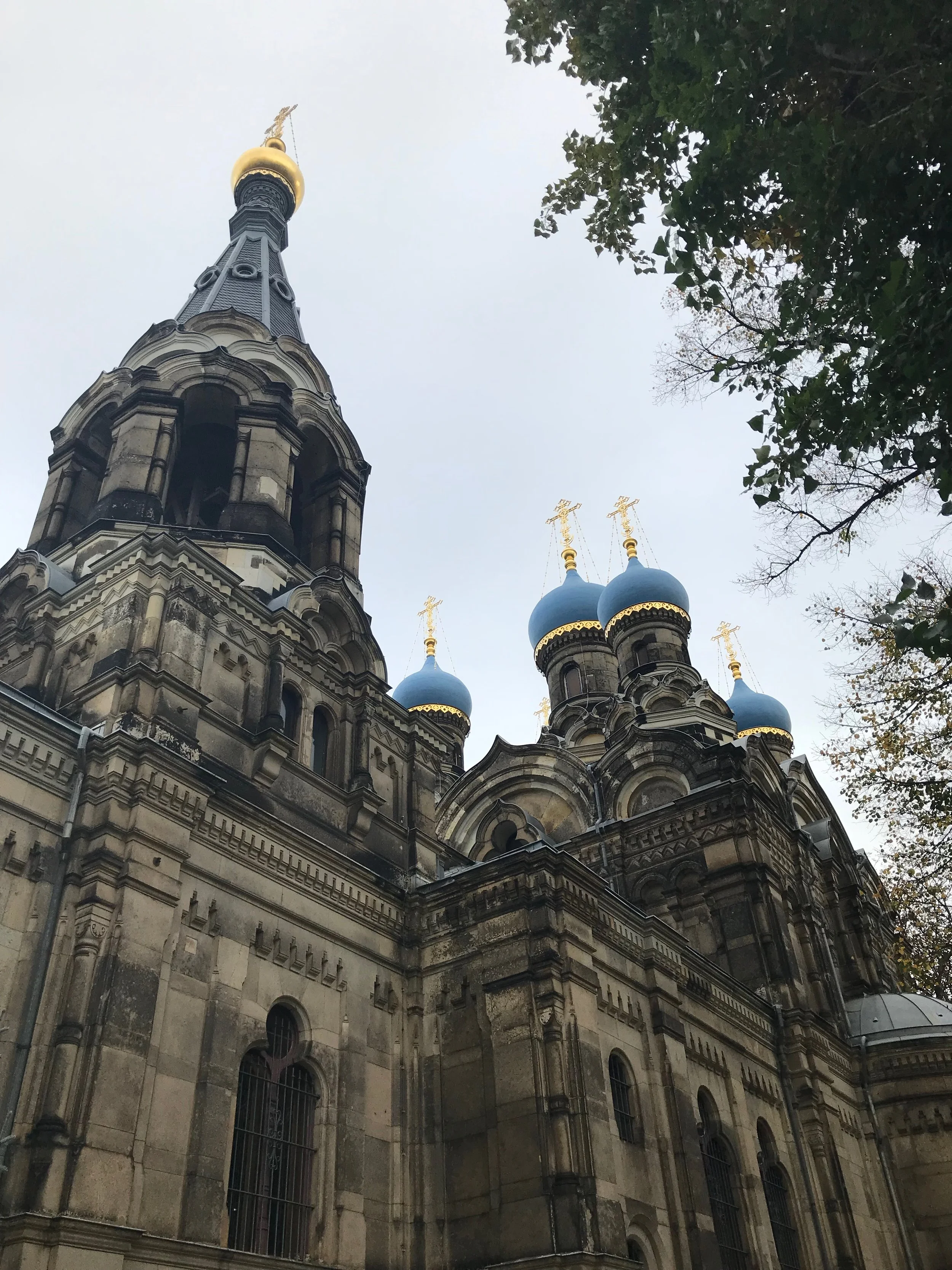 IMG_1868.jpeg