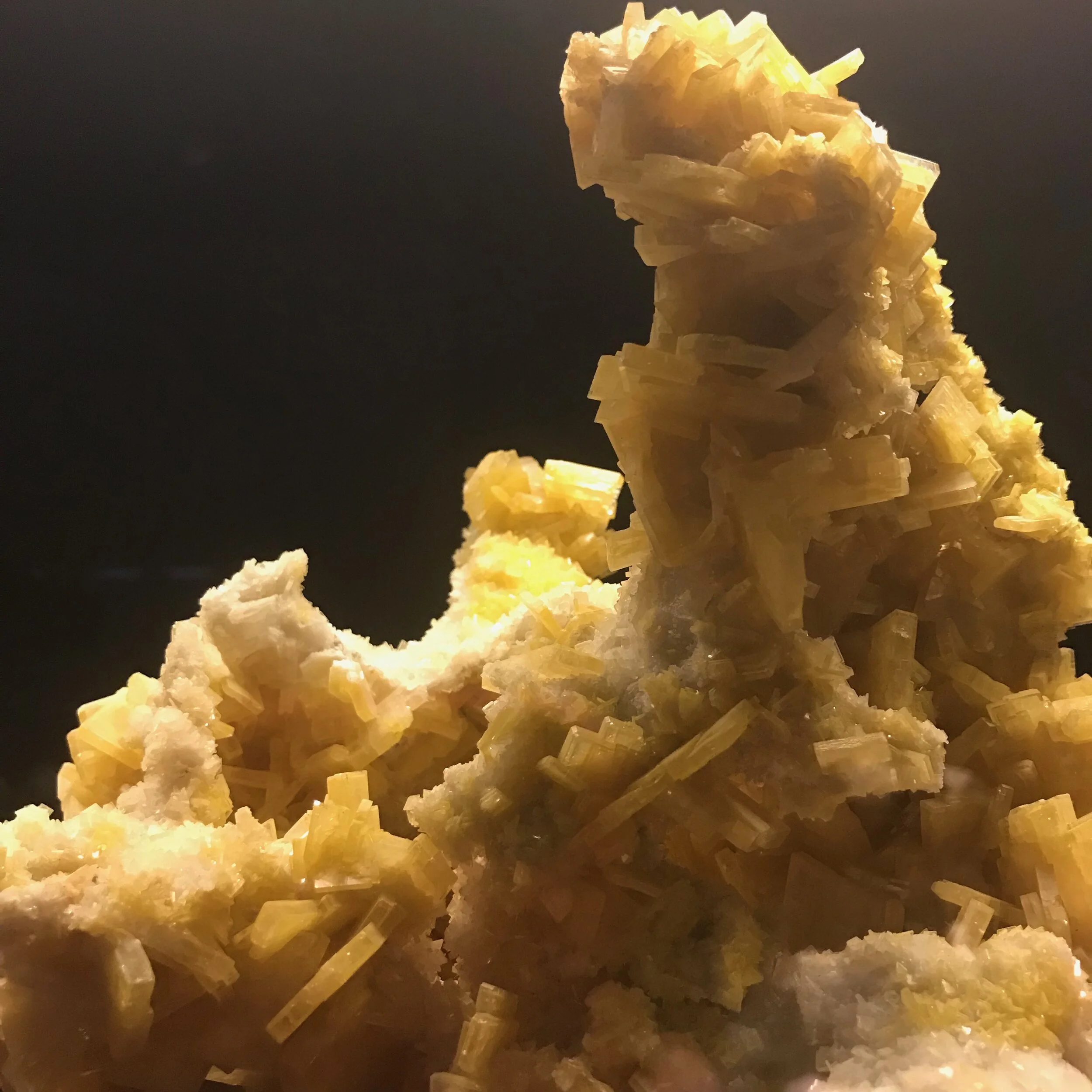 IMG_2228.jpeg