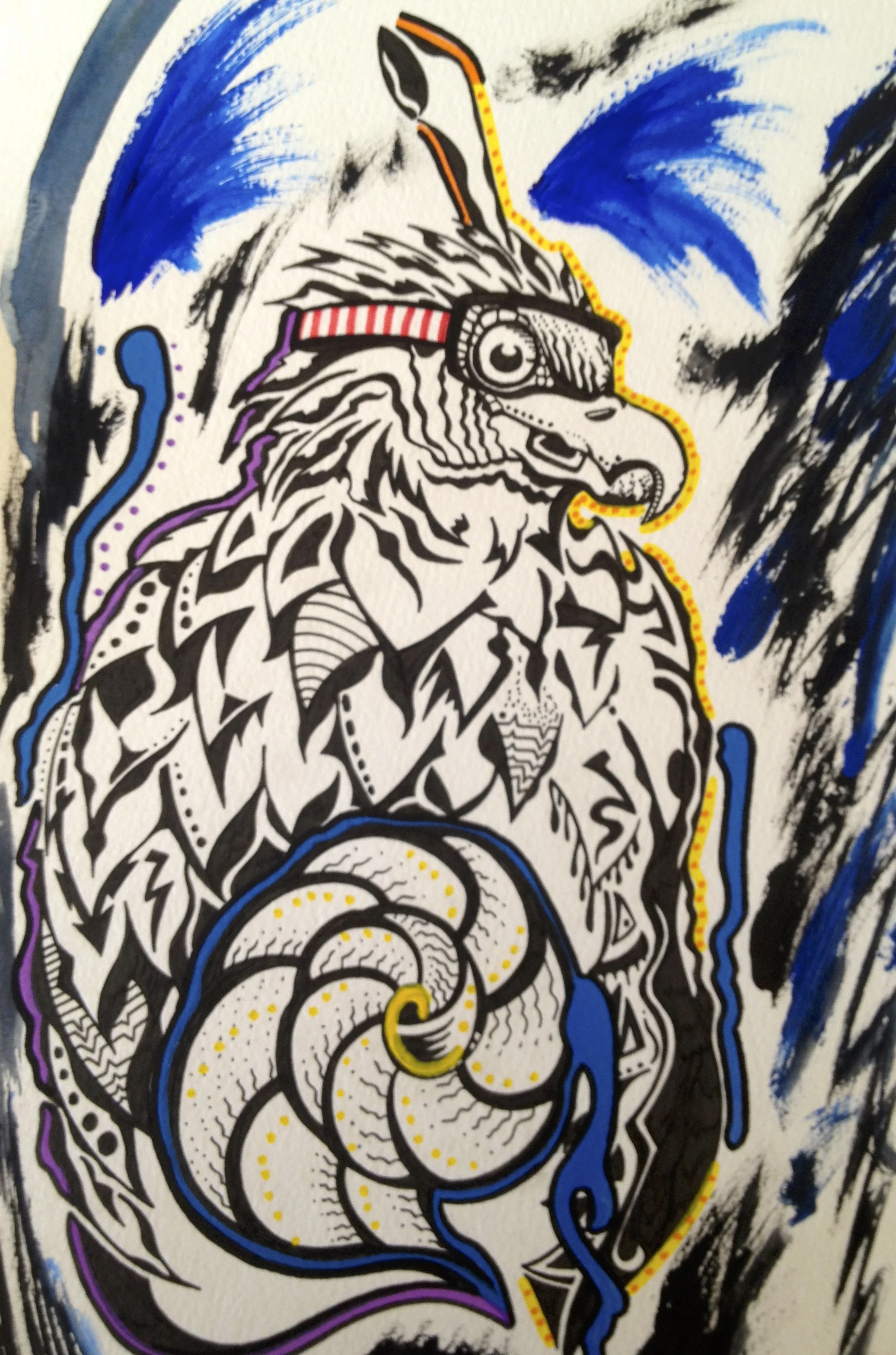 Bald Eagle
