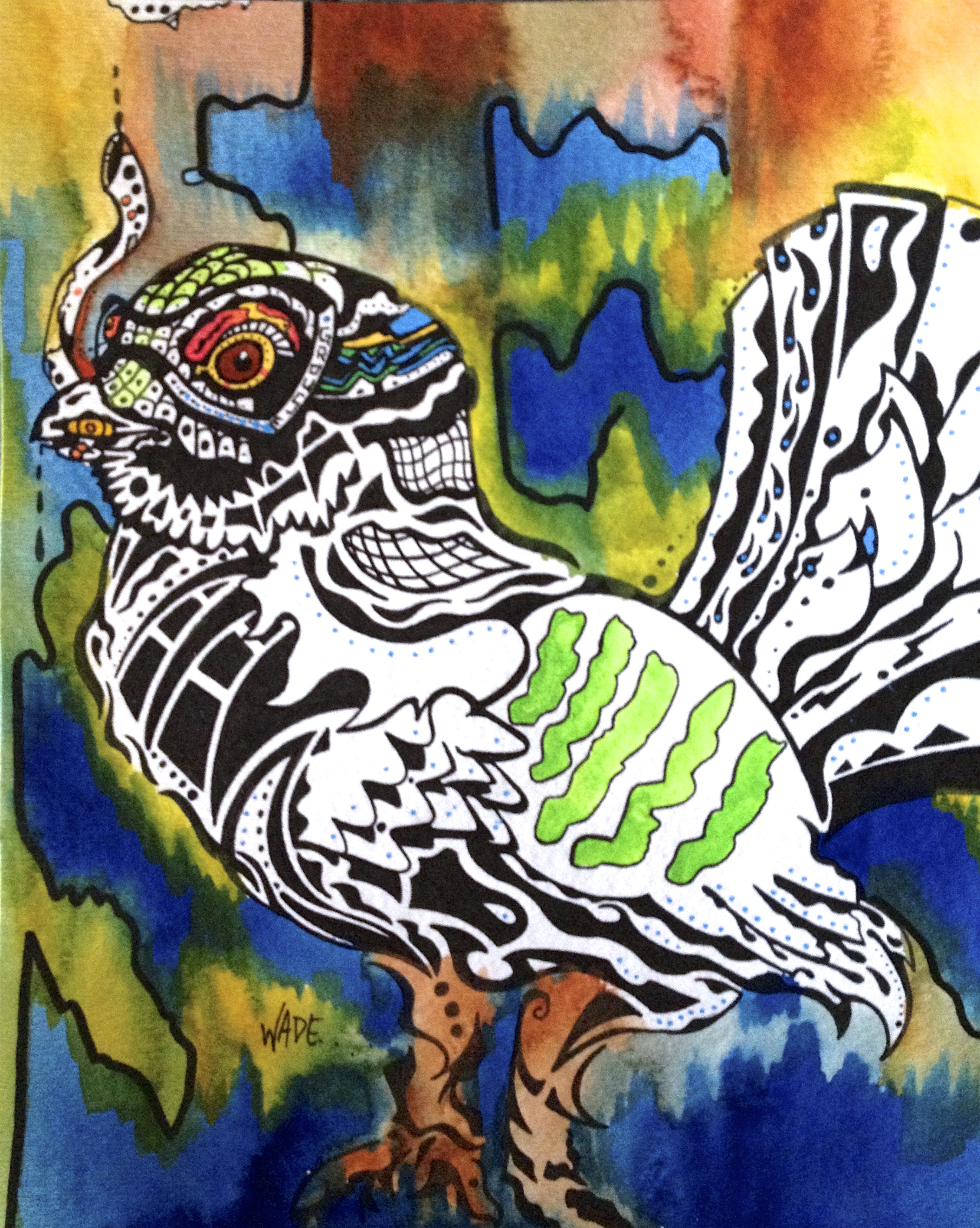 Blue Grouse