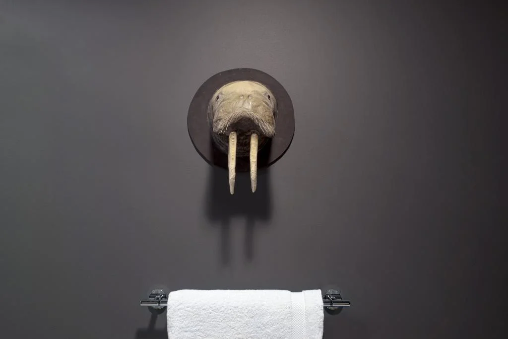 walrus.jpg