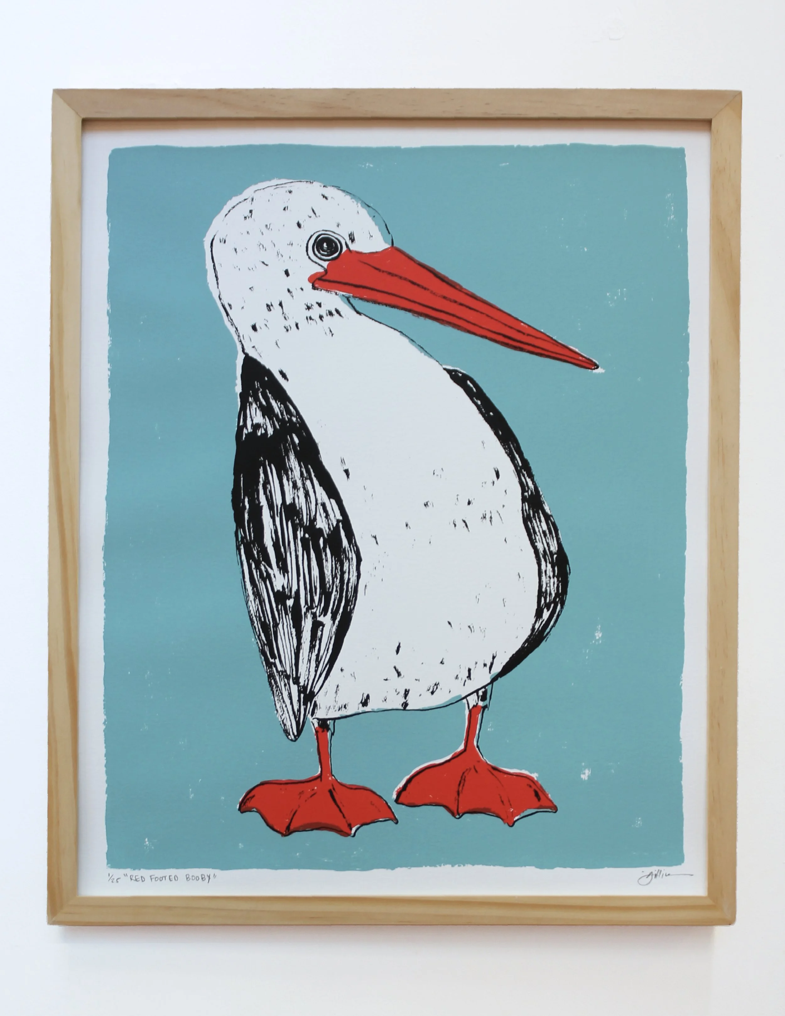 red footed booby frame.jpg