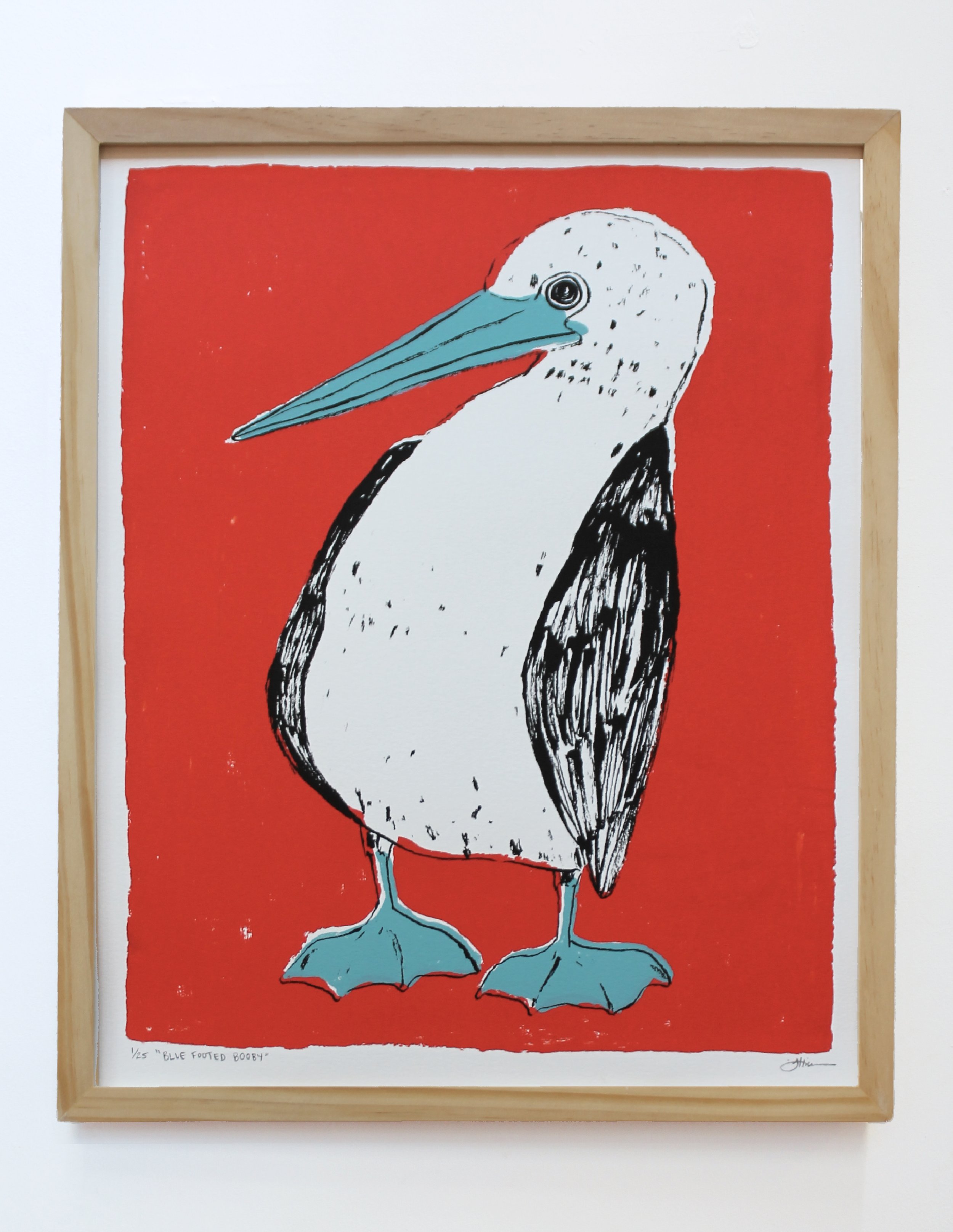 blue footed booby frame.jpg