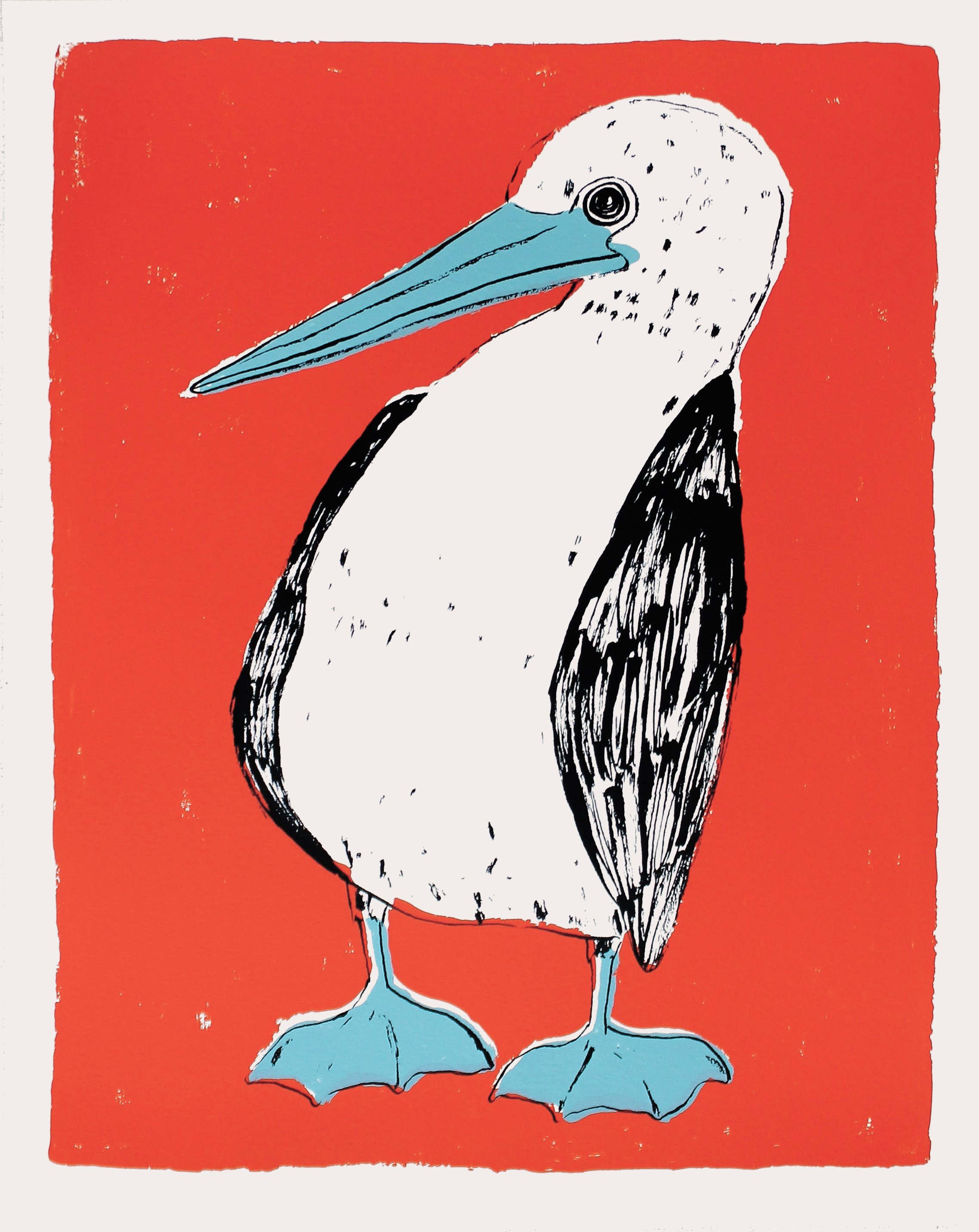 JILLIAN CHAITIN- ANIMALS (dragged) 2-1.jpg