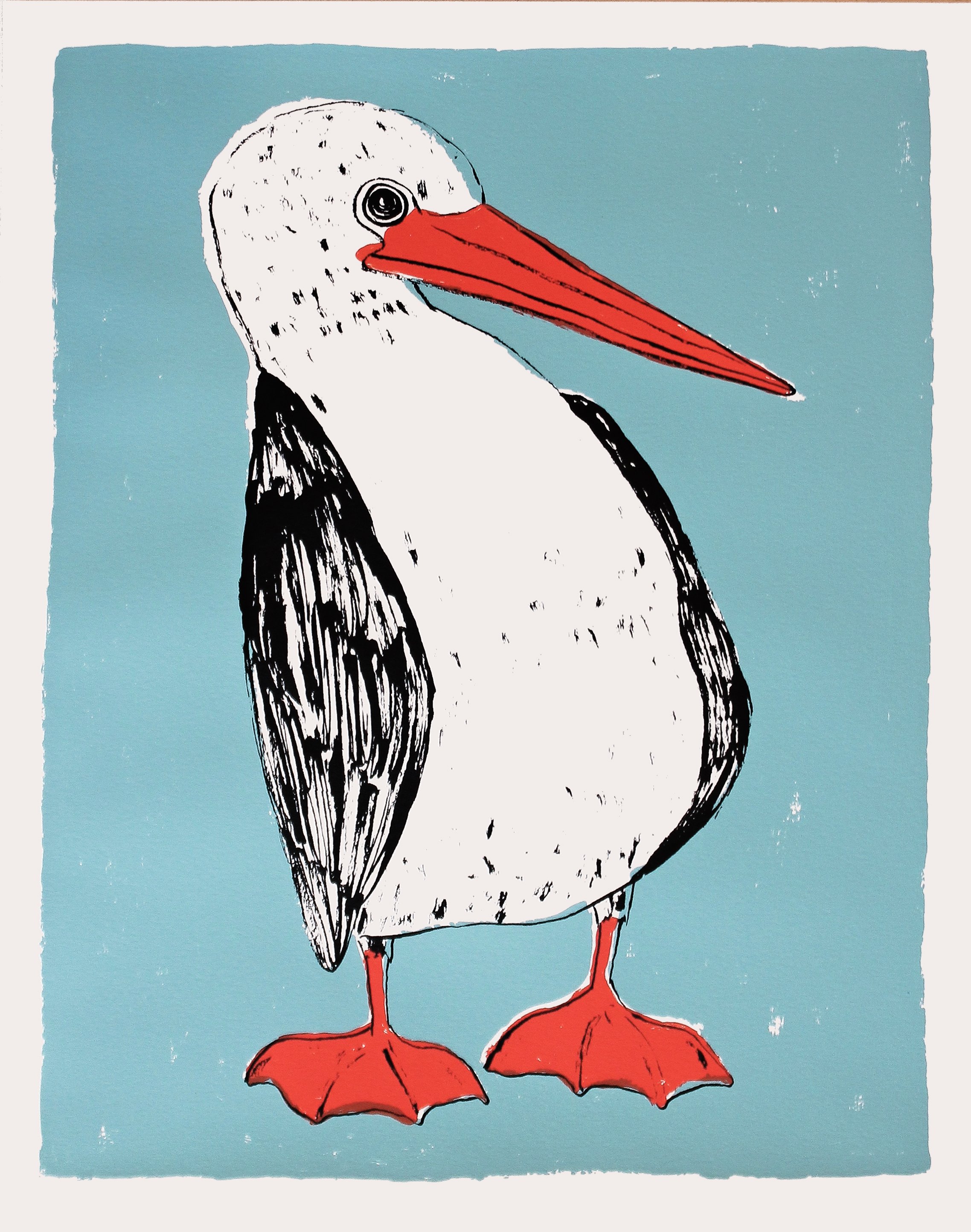 RED FOOTED BOOBY.jpg