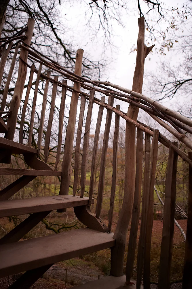treehouse, Snowdonia