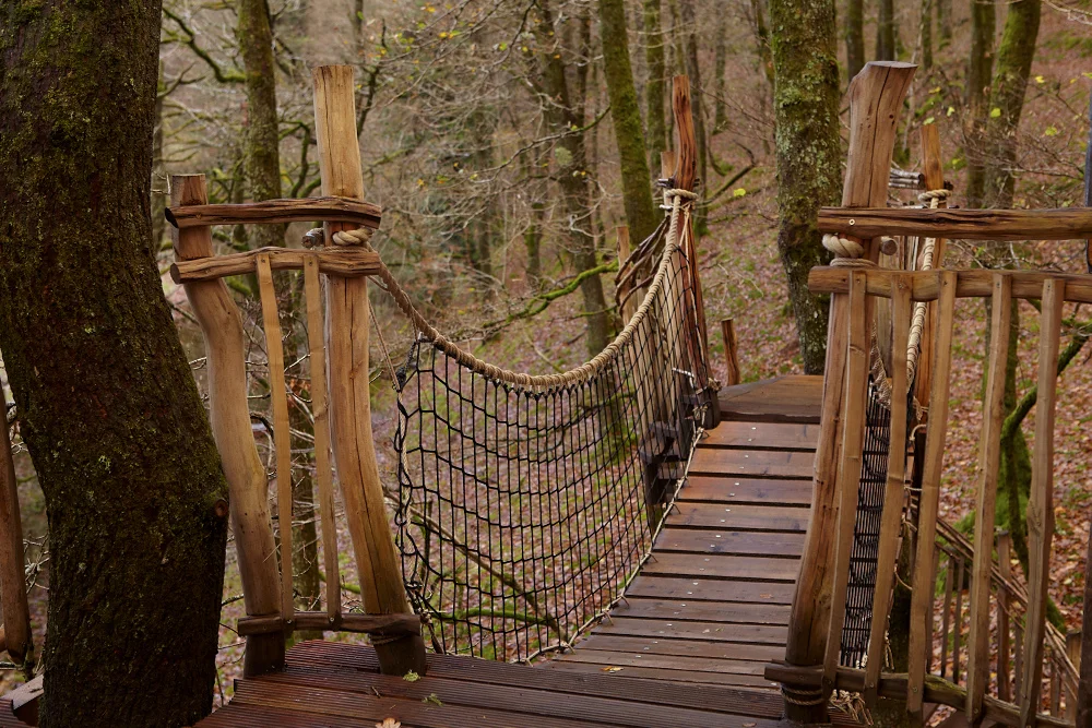 treehouse, Snowdonia