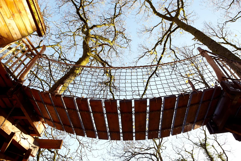 treehouse, Snowdonia