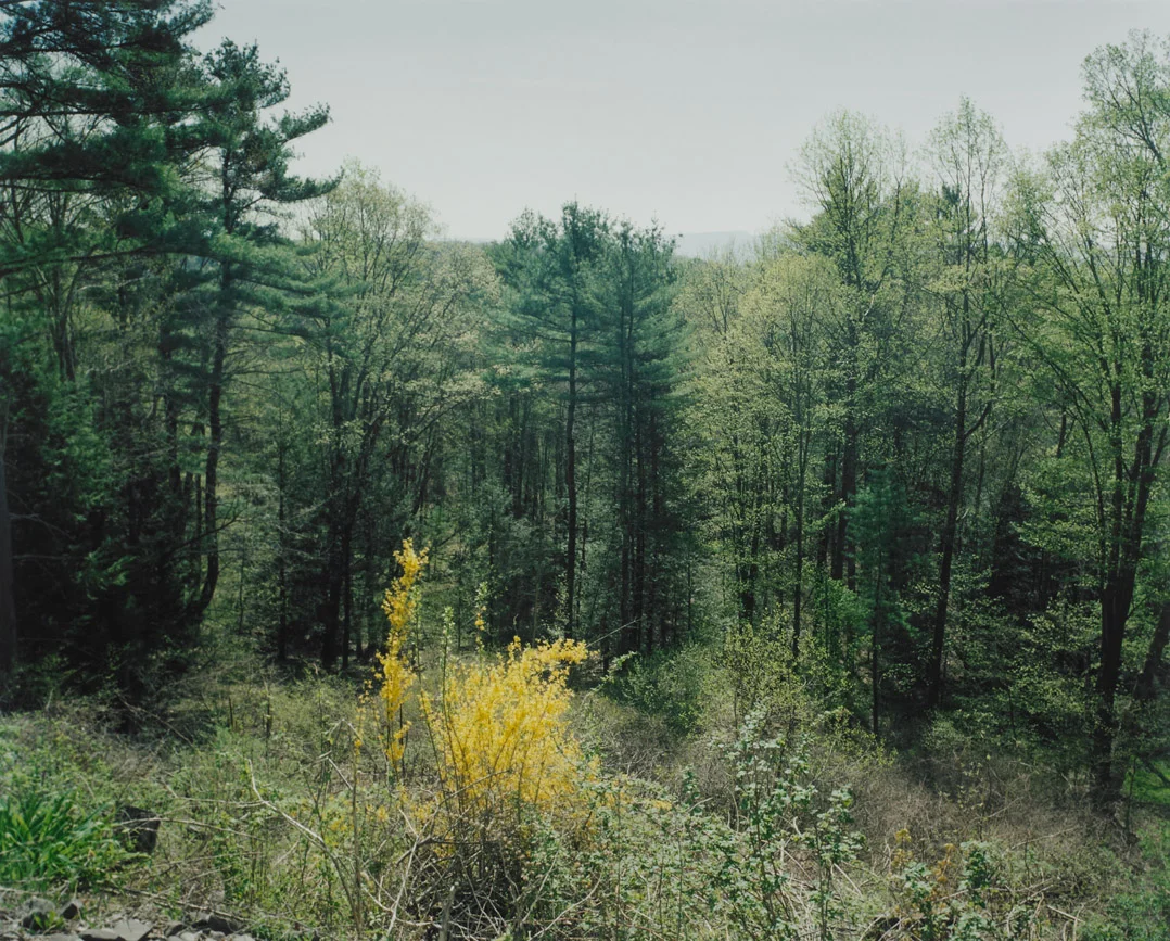7 1/2 mile hike to Mohonk Lake via Duck Pond