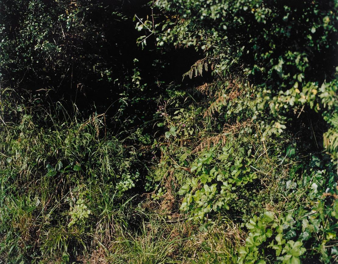 Cornish pathway series
