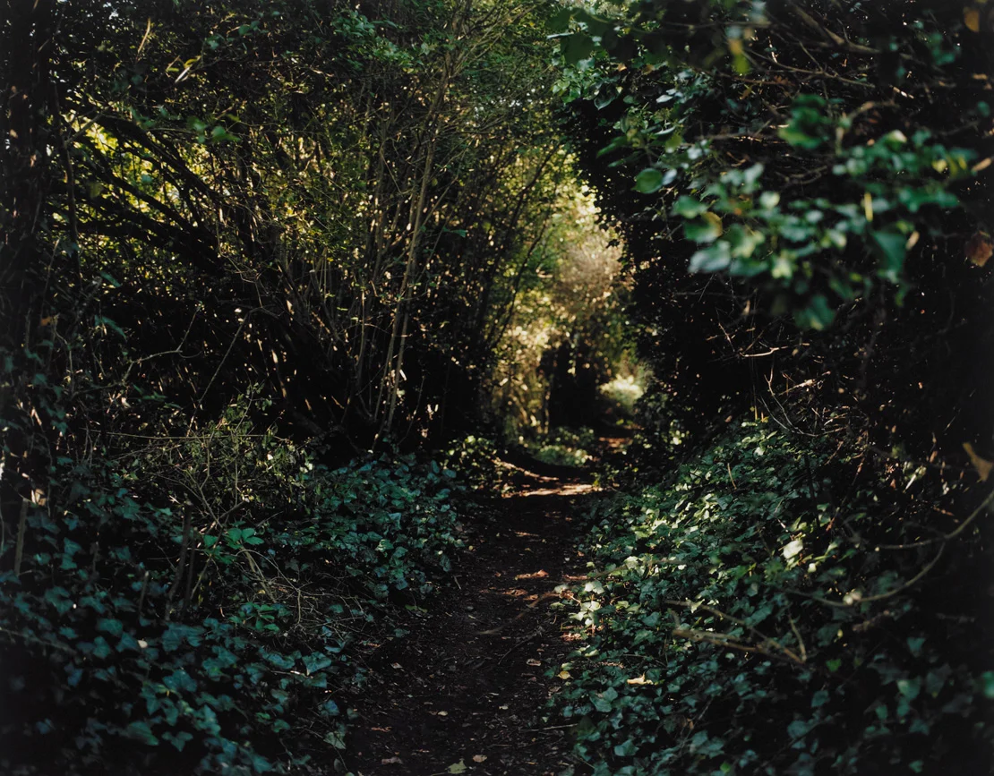 Cornish pathway series