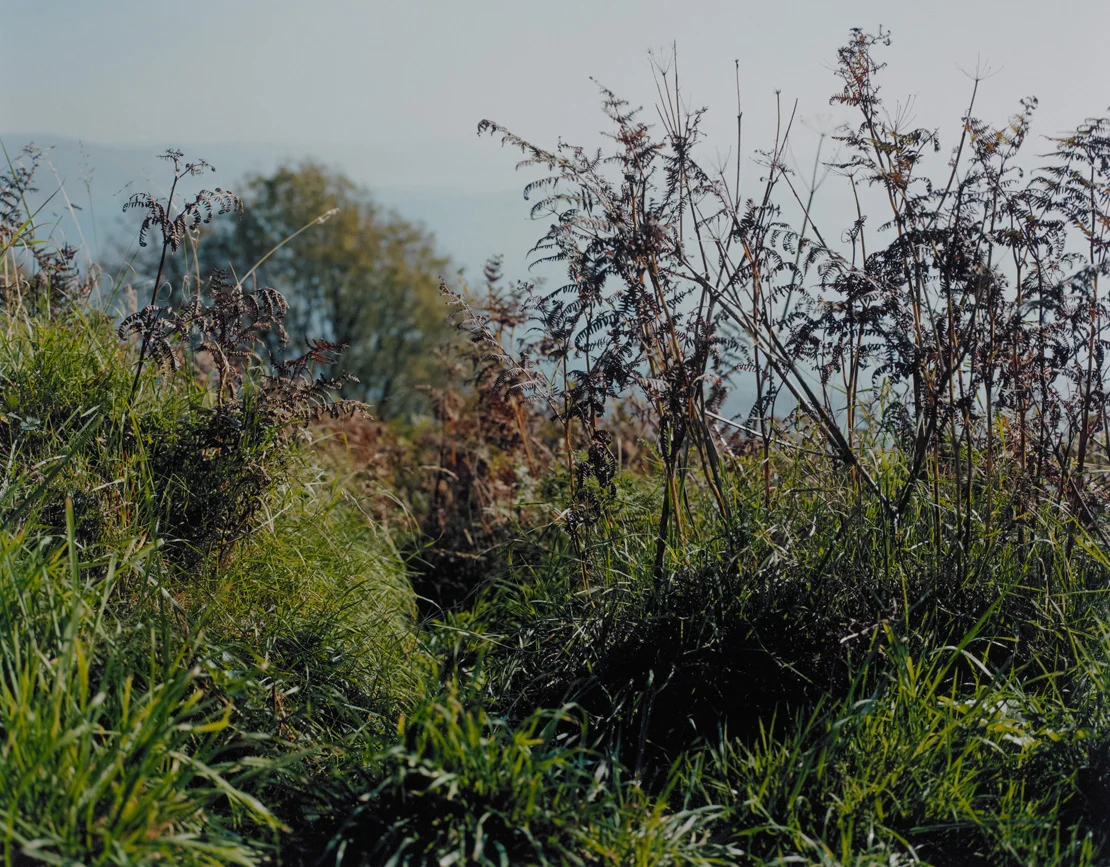 Cornish pathway series