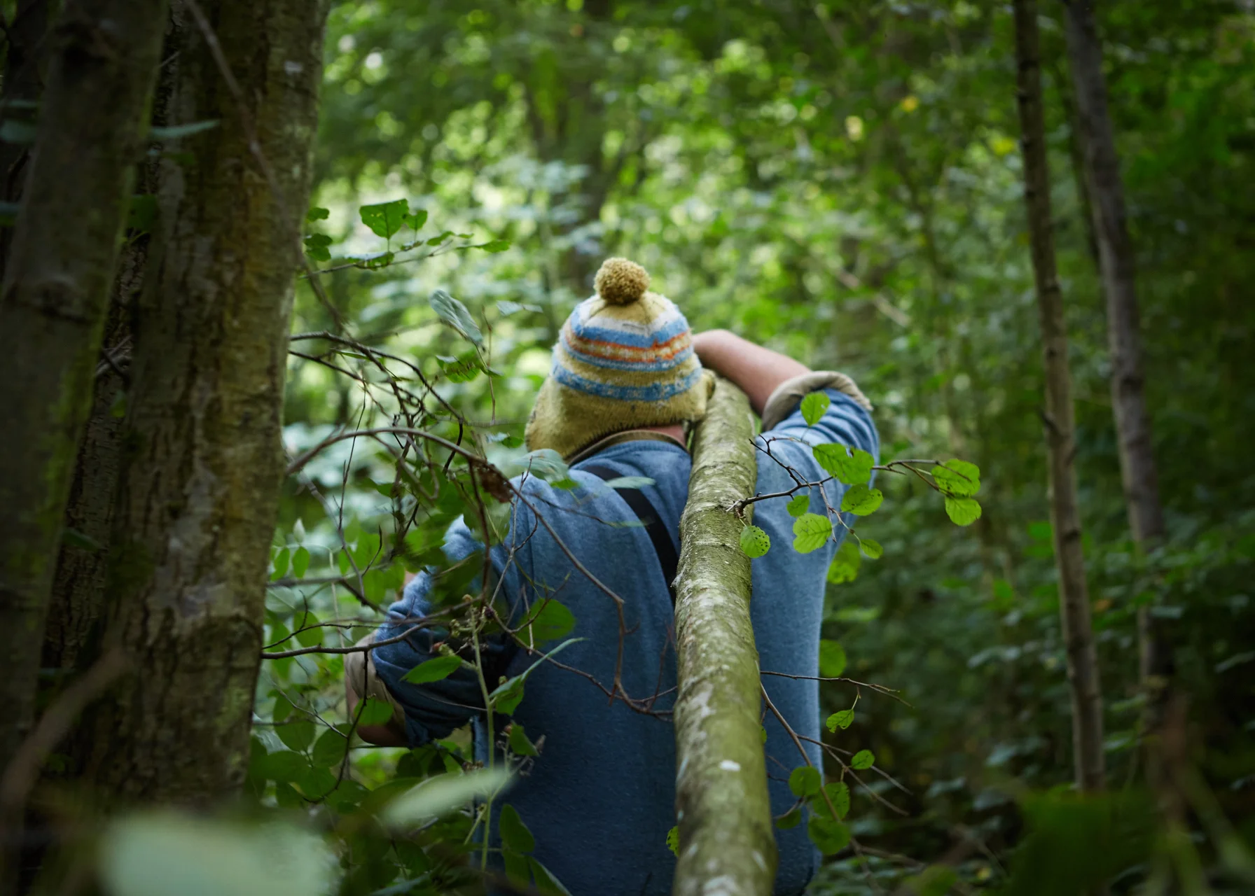 20150903_Barn_the_Spoon_woods_099_Patricia_Niven.jpg