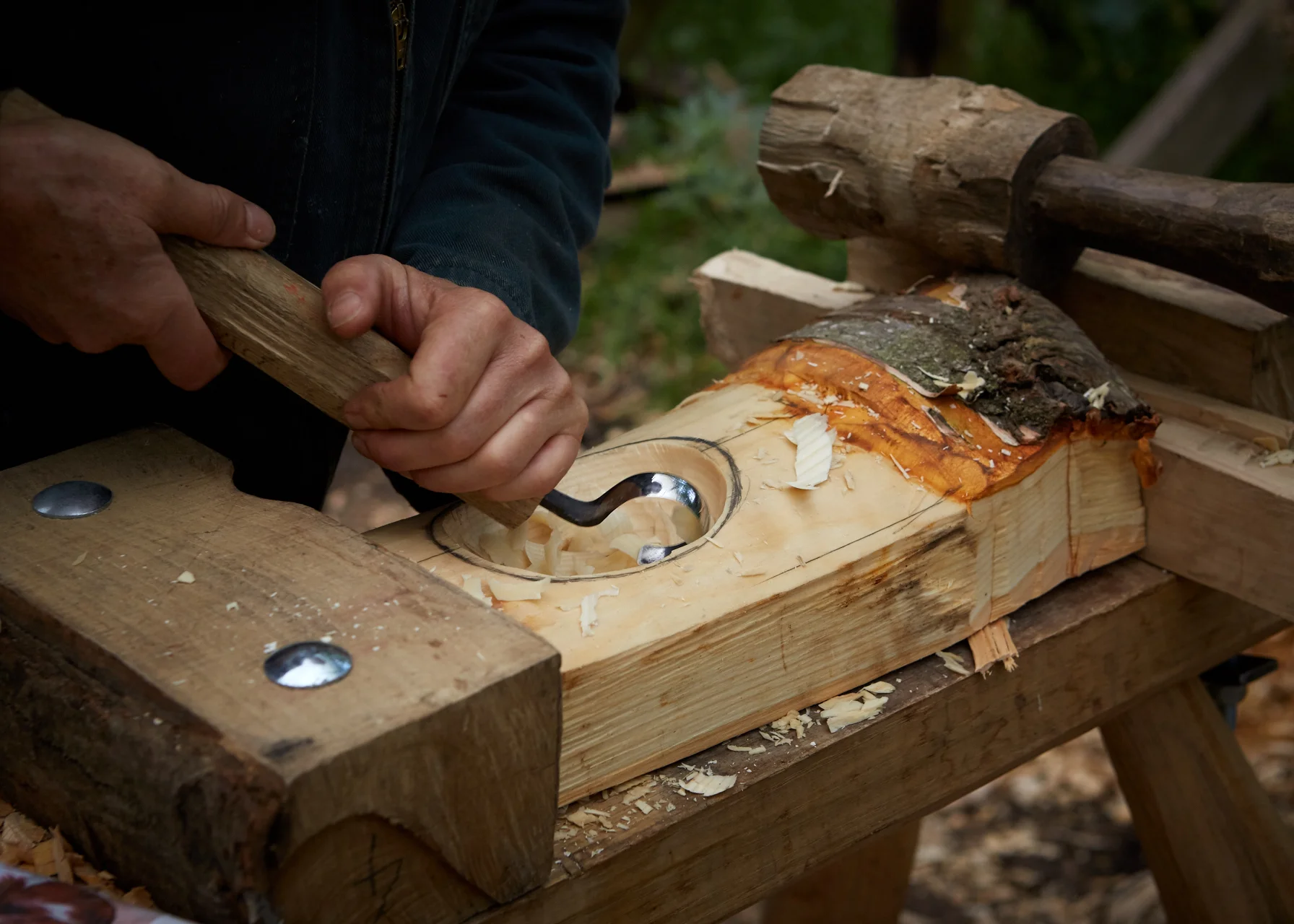 20150903_Barn_the_Spoon_woods_109_Patricia_Niven.jpg