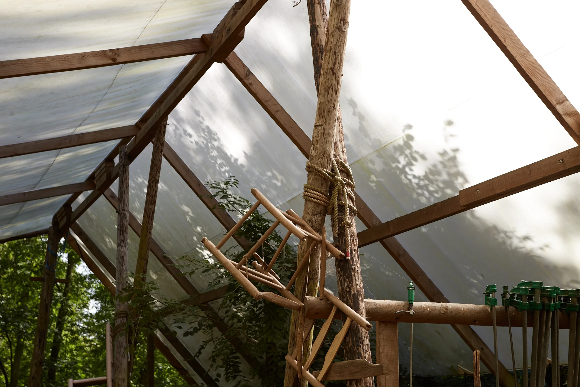 20150904_Barn_the_Spoon_woods_545_Patricia_Niven.jpg