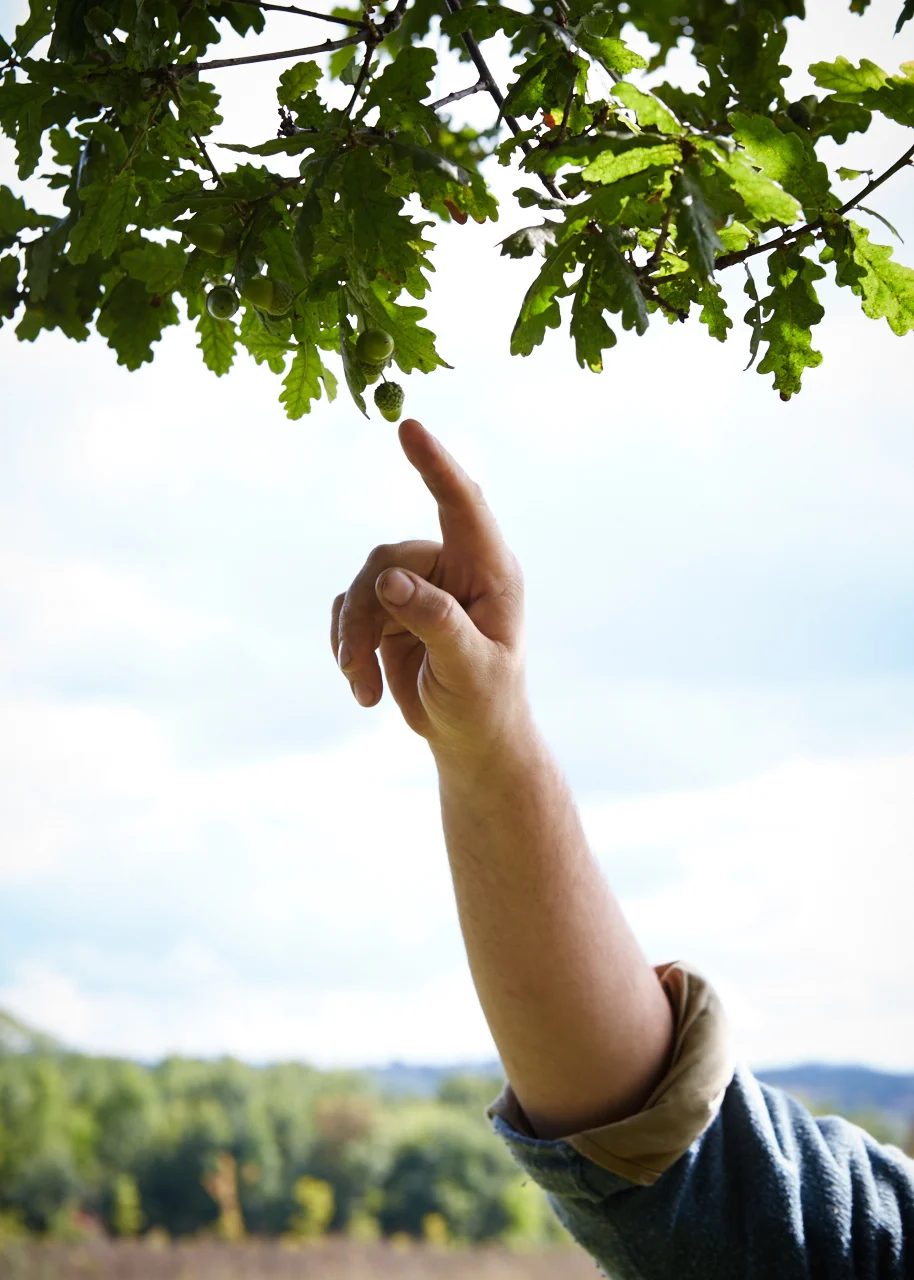 20150904_Barn_the_Spoon_woods_649_Patricia_Niven.jpg