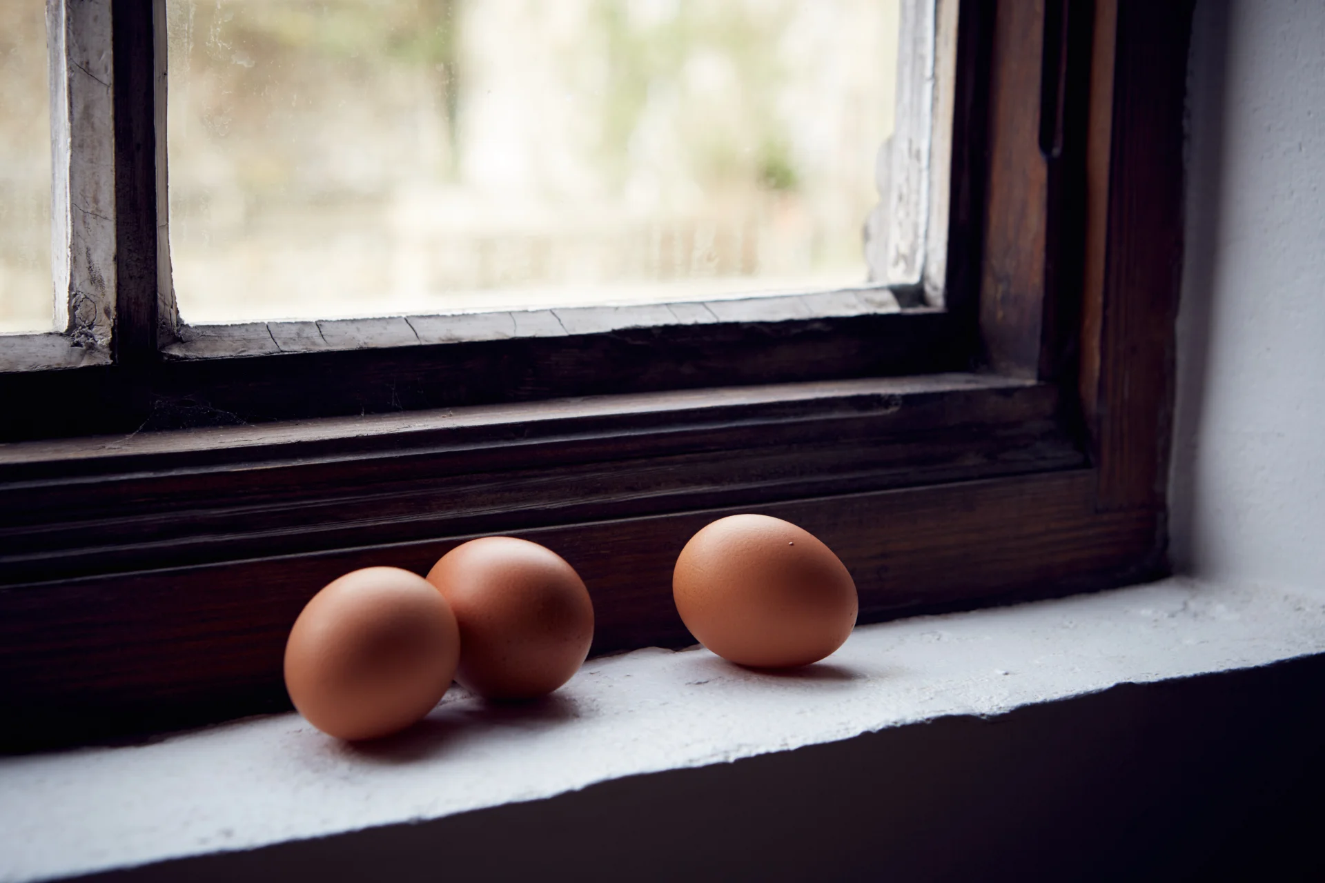 eggs on window sill, Dorset