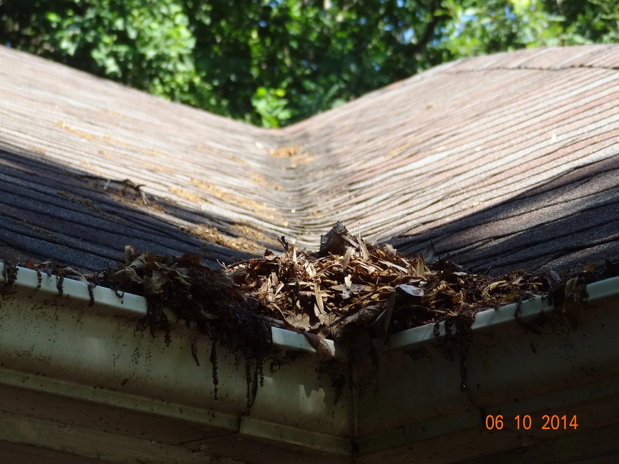 Roof valley clogging rain gutter with leaves