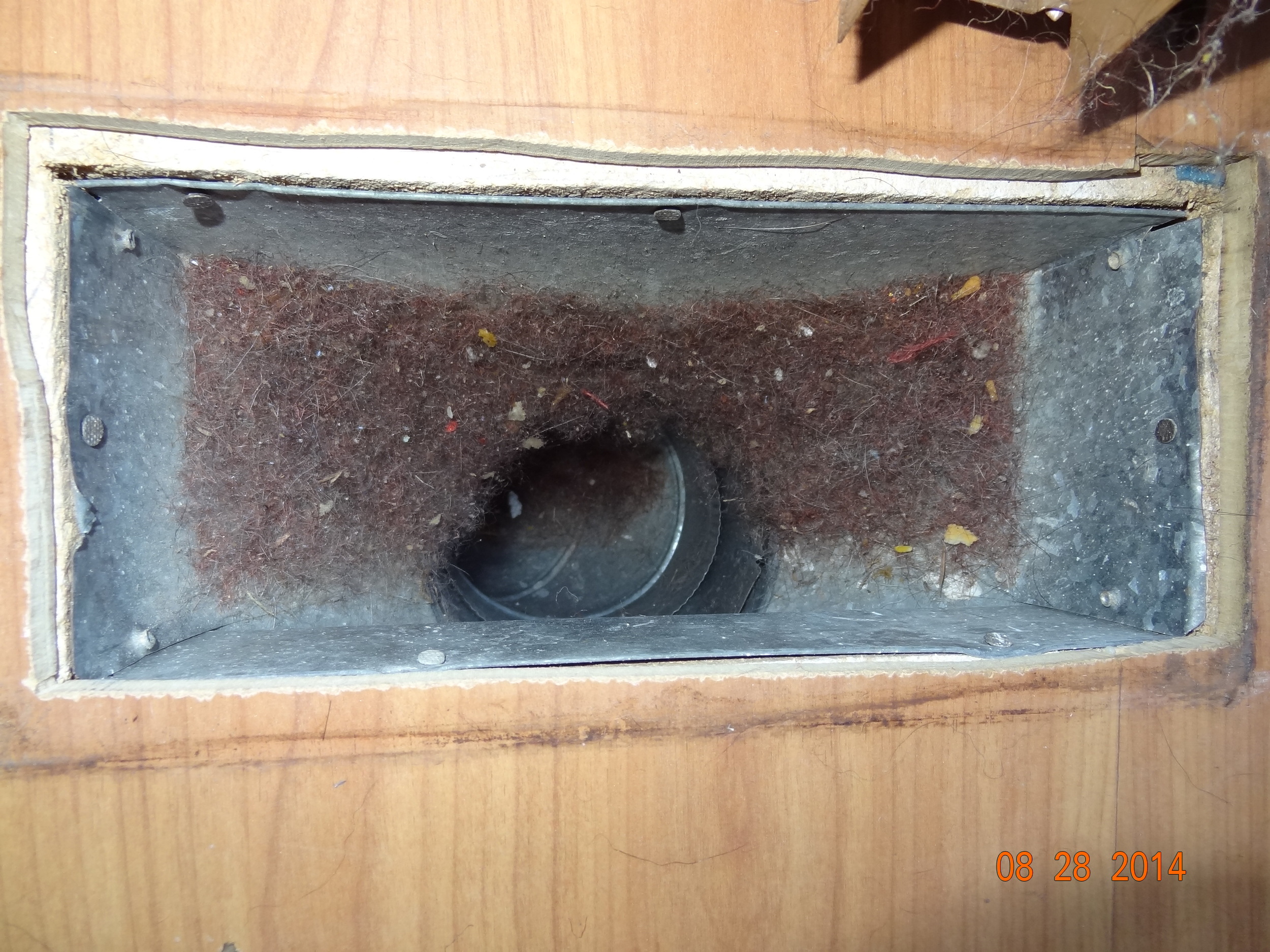 HVAC Supply Dog Hair
