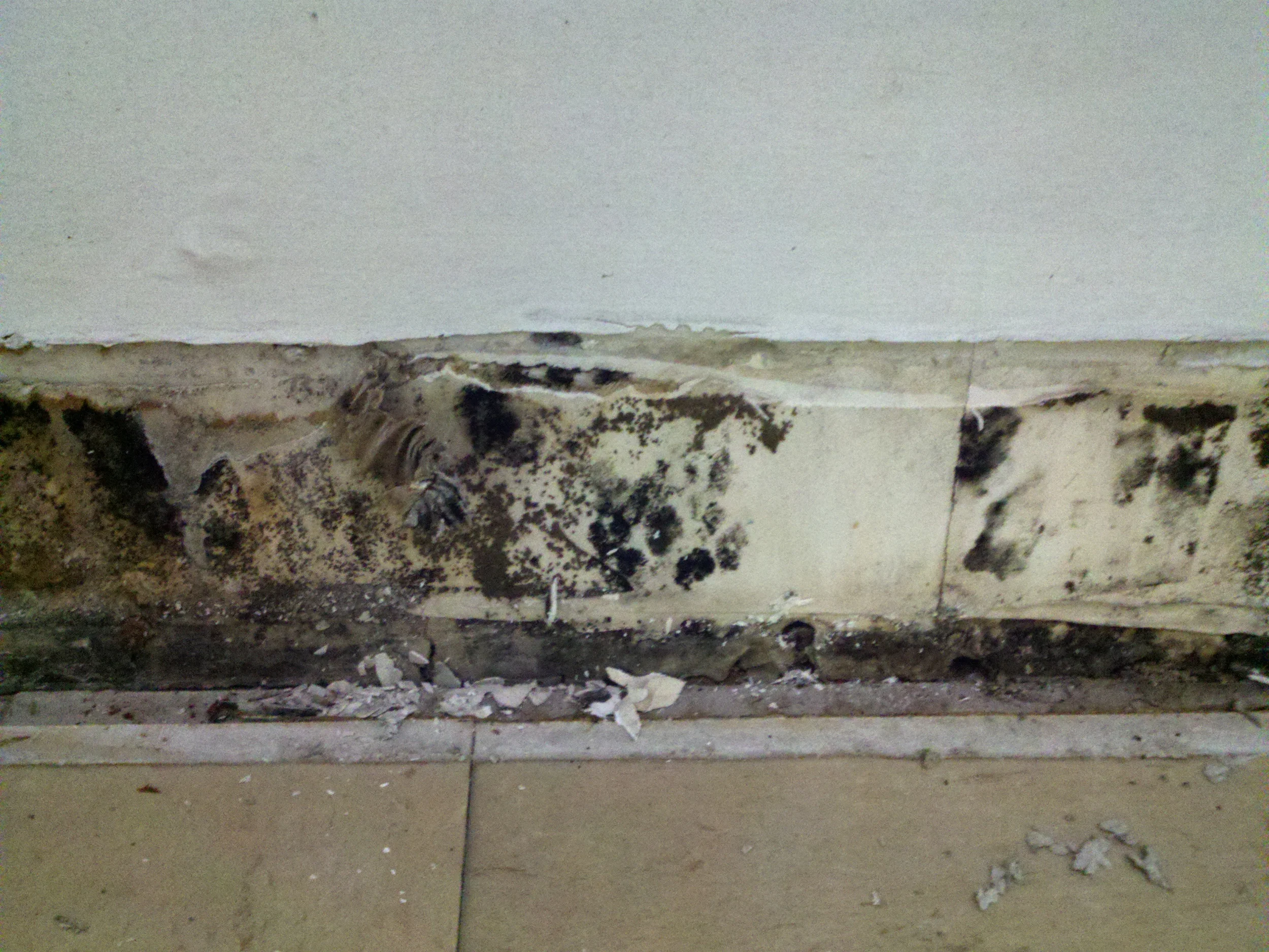 Water Damage - Take Immediate Action!