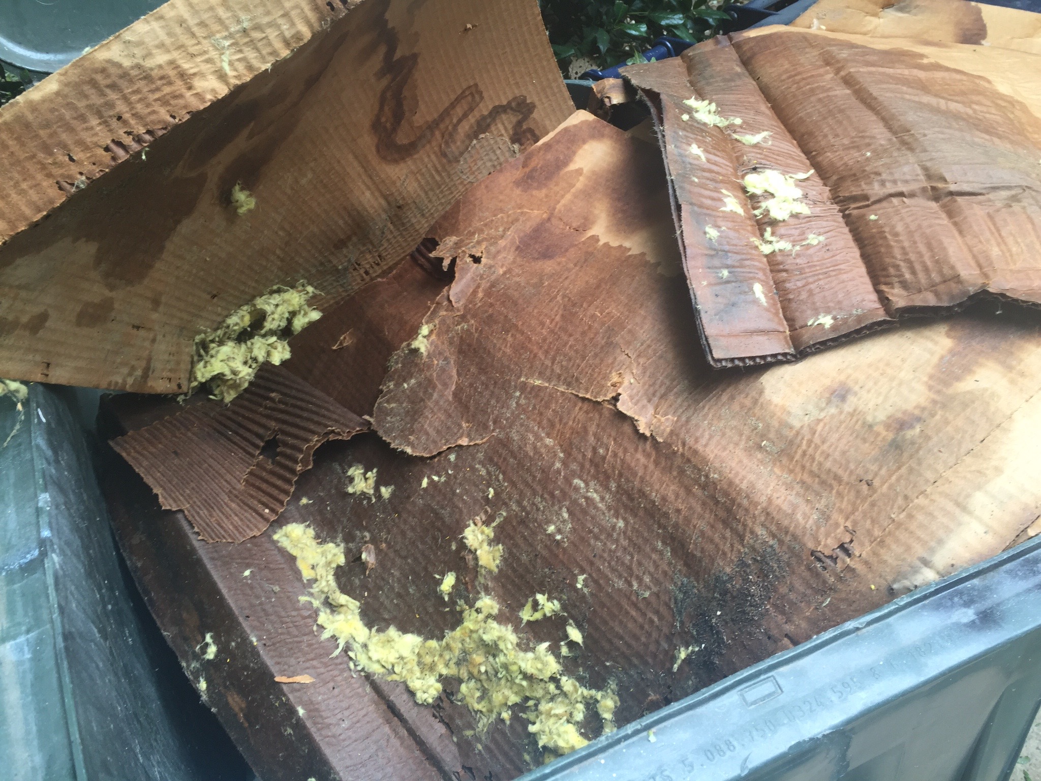This is the wet cardboard that had been used to block the insulation from covering the attic vents