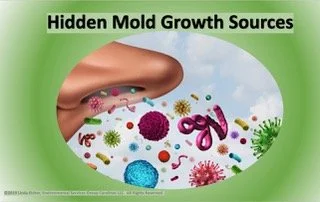 Hidden Mold/Microbial Growth in Homes