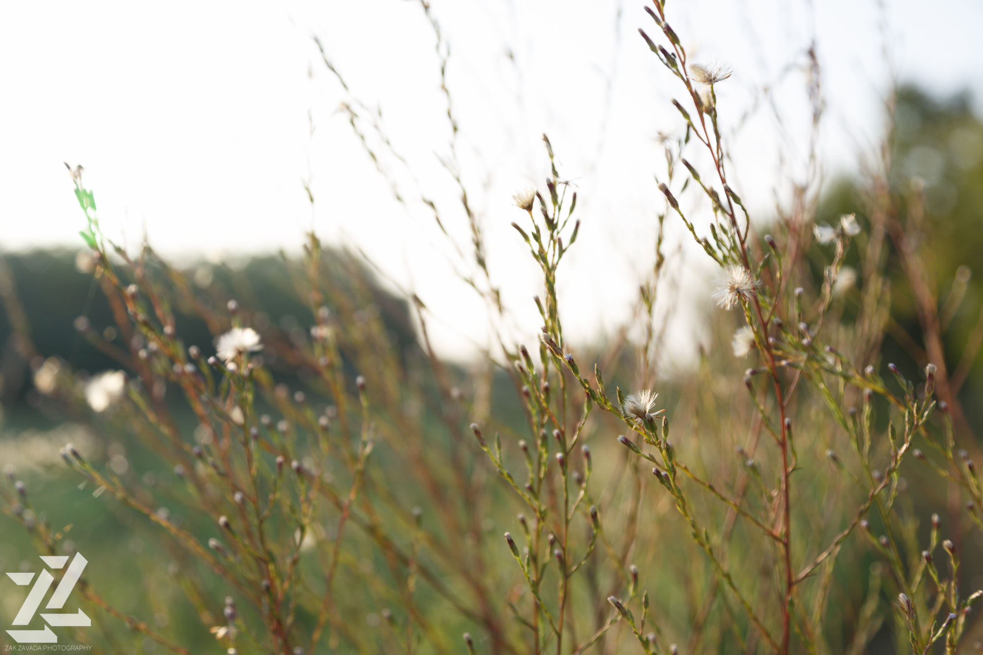 scranton-wedding-photography-zak-zavada-2014.09-isaacJudie-0972.jpg