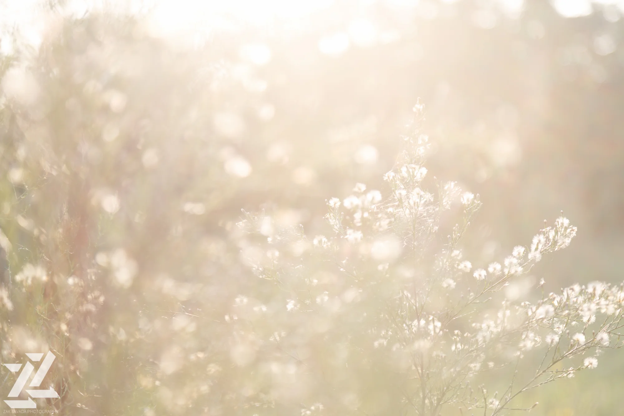 scranton-wedding-photography-zak-zavada-2014.09-isaacJudie-0976.jpg
