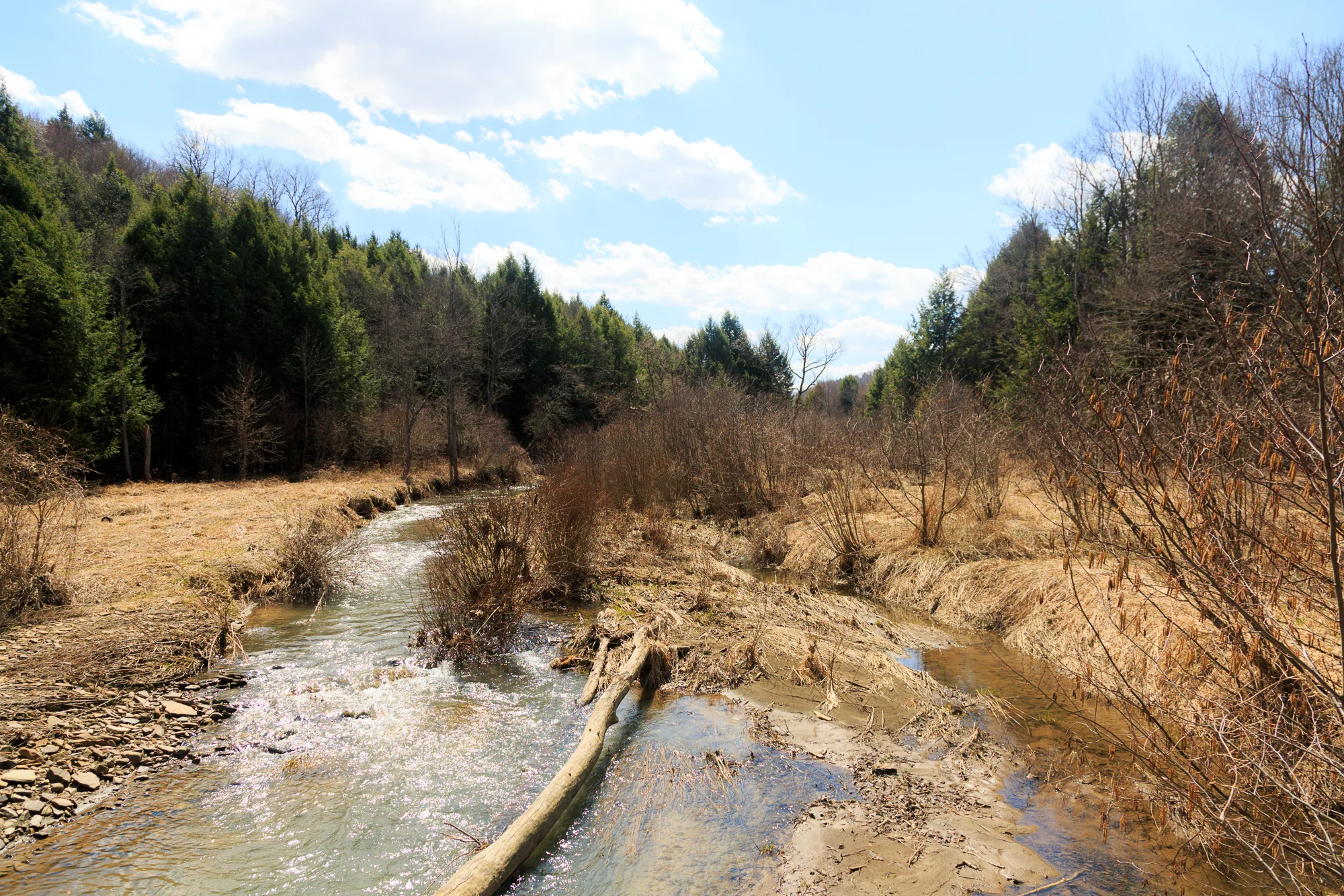 saltSprings-019.jpg