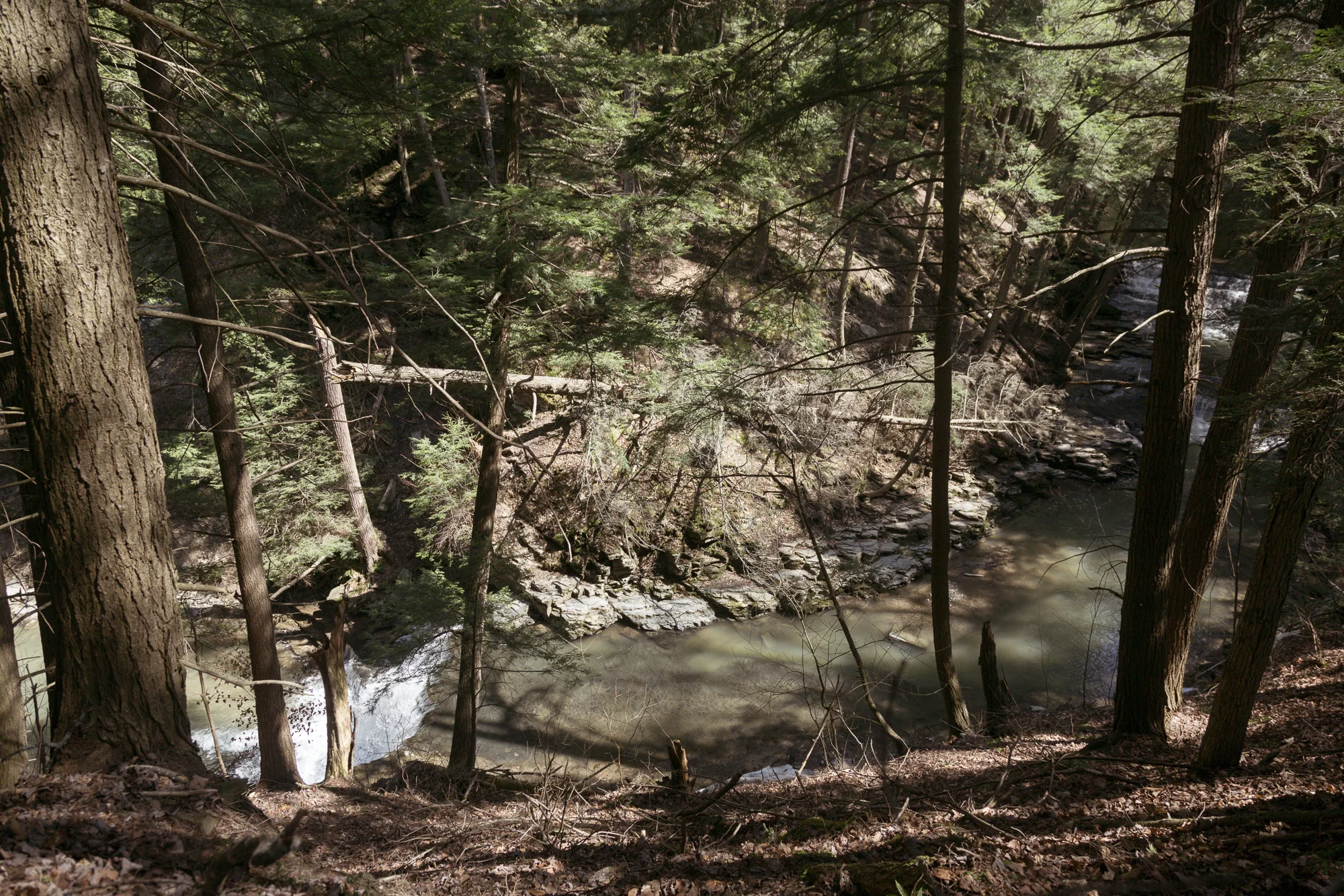 saltSprings-031.jpg