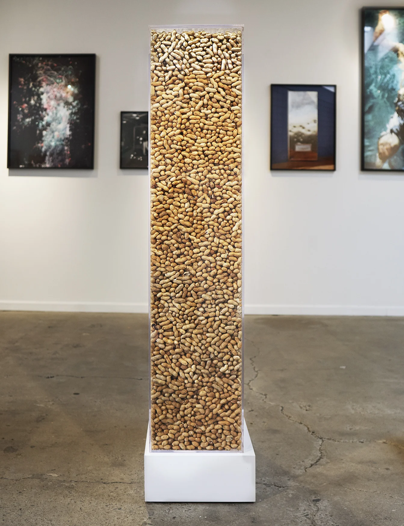 IMG_0367_kopeikin install-v2