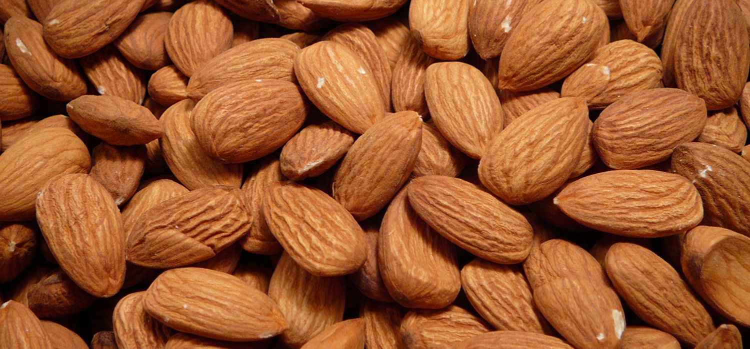 Roasted_Almonds.png