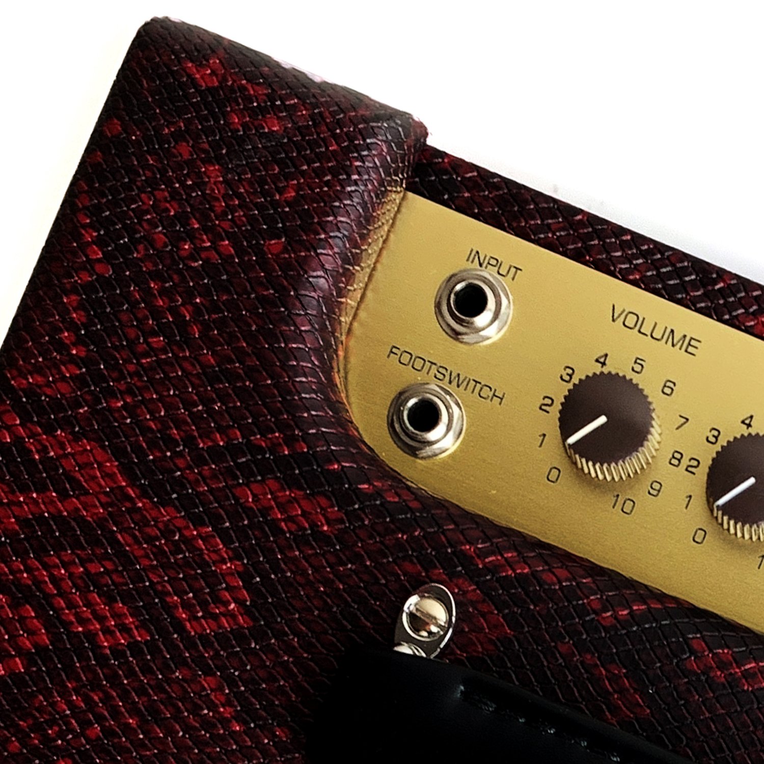 Dragonfly Finishes (11c of 35).jpg