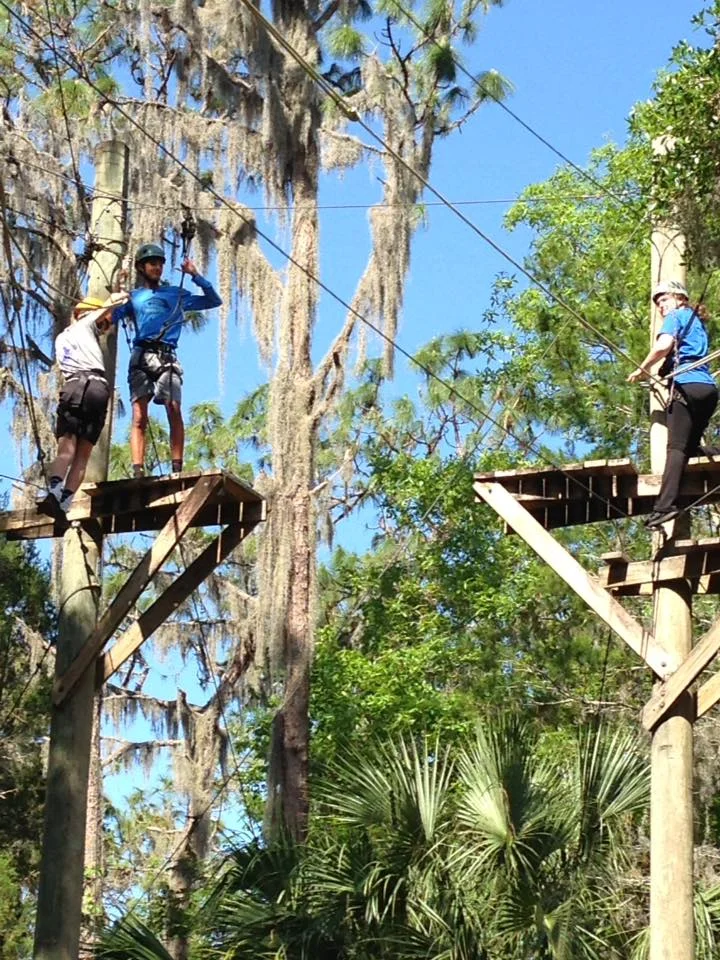 highropes.jpg