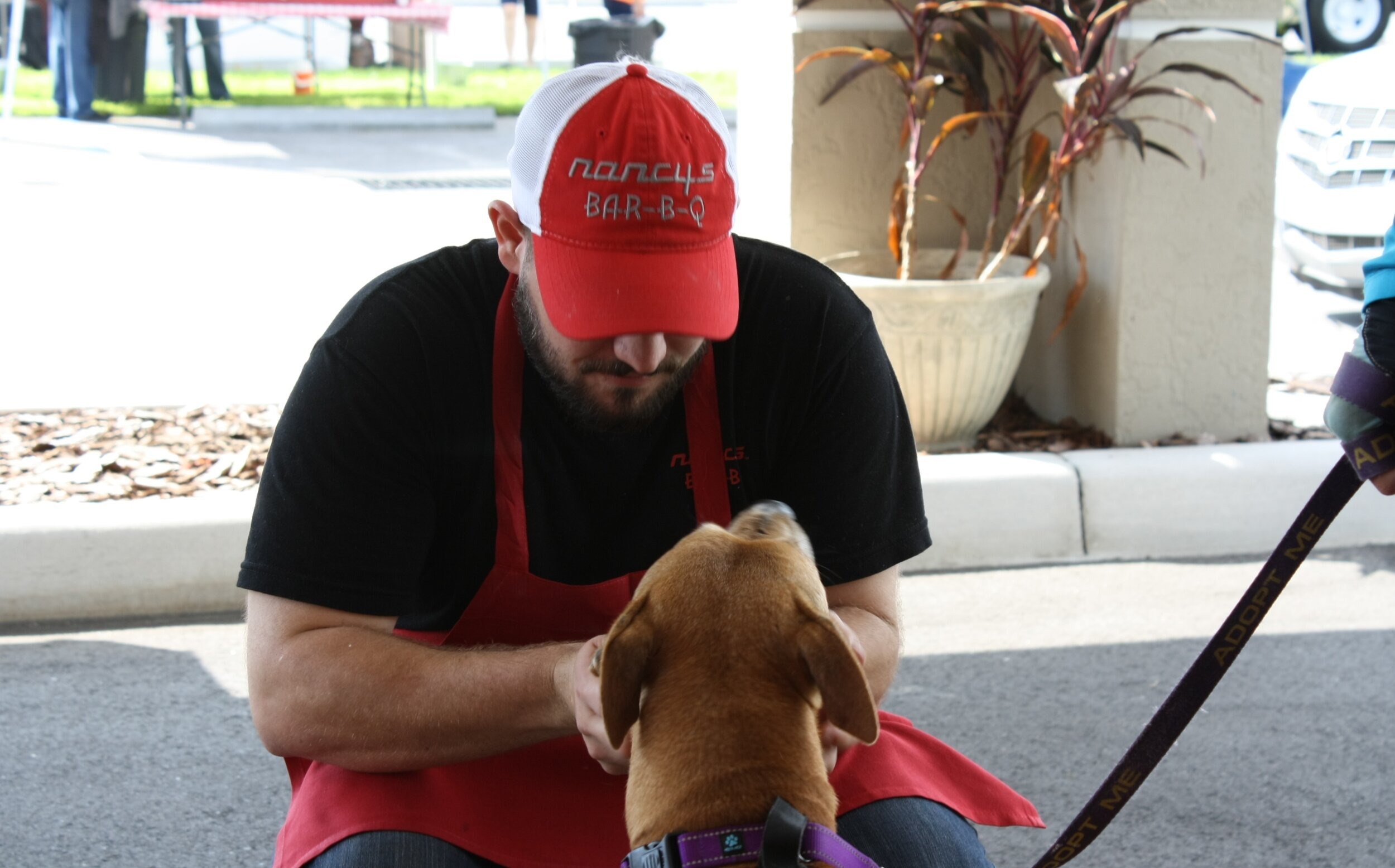 Adopt a dog was a big hit. FFF 2019.jpg