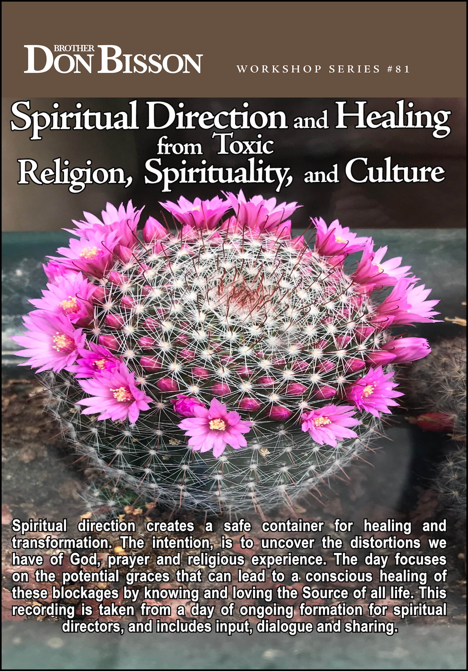 Spiritual Direction and Healing from Toxic Religion, Spirituality, and Culture CD#81