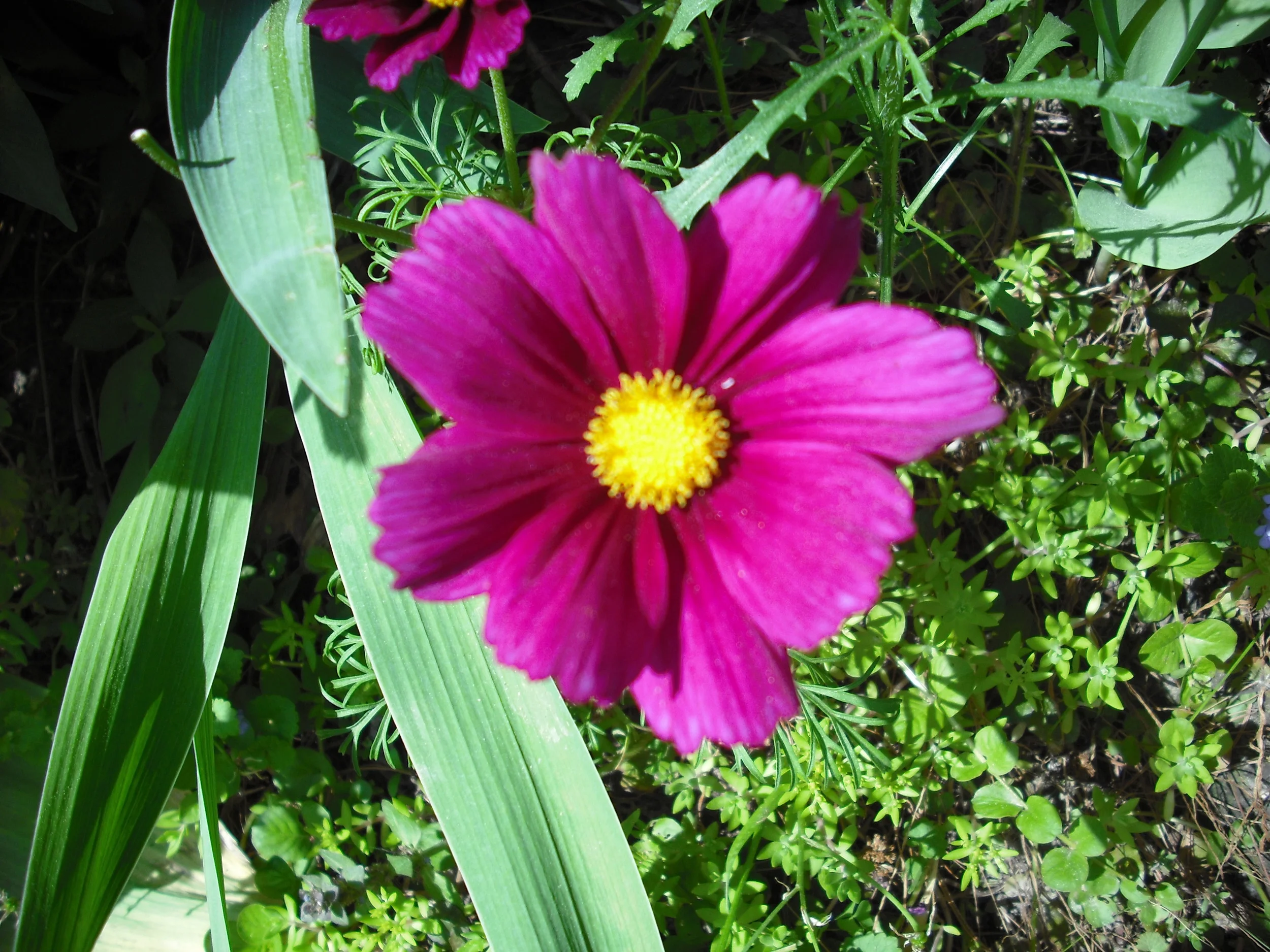 DSCF0001.JPG