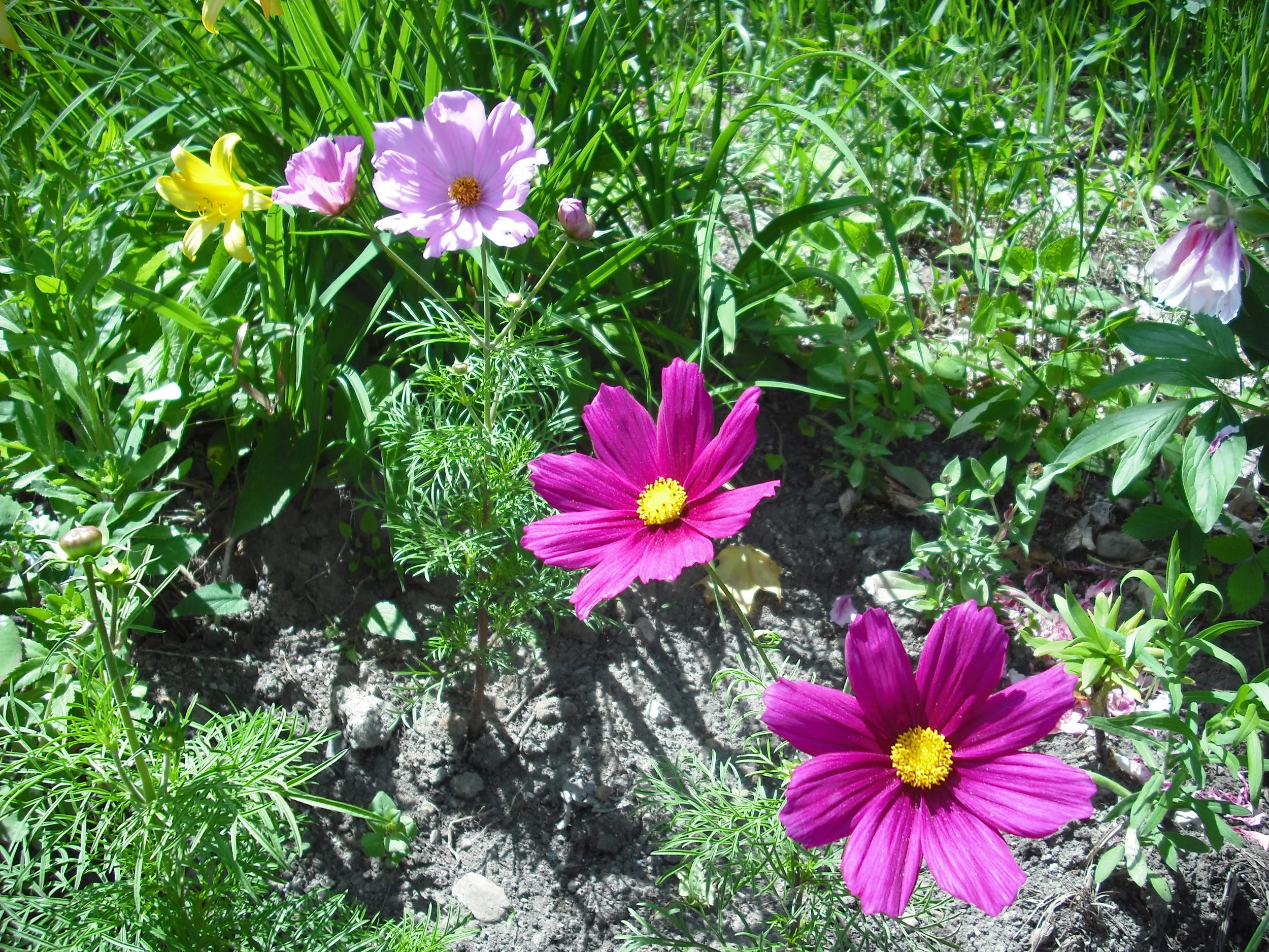 DSCF0018.JPG