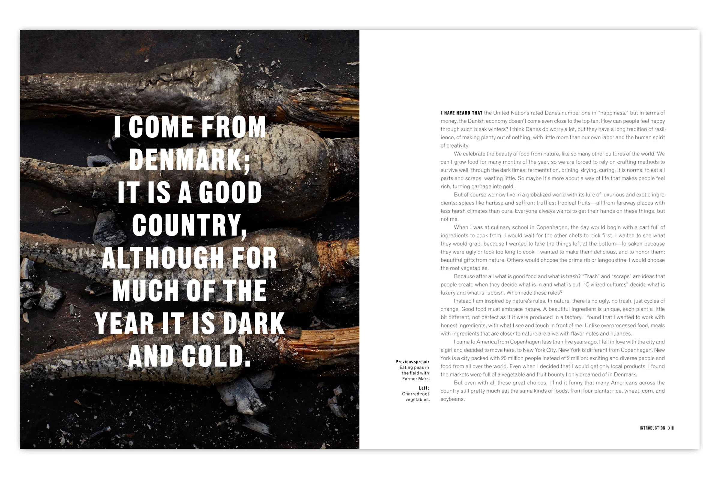 SCRAPS-4.jpg
