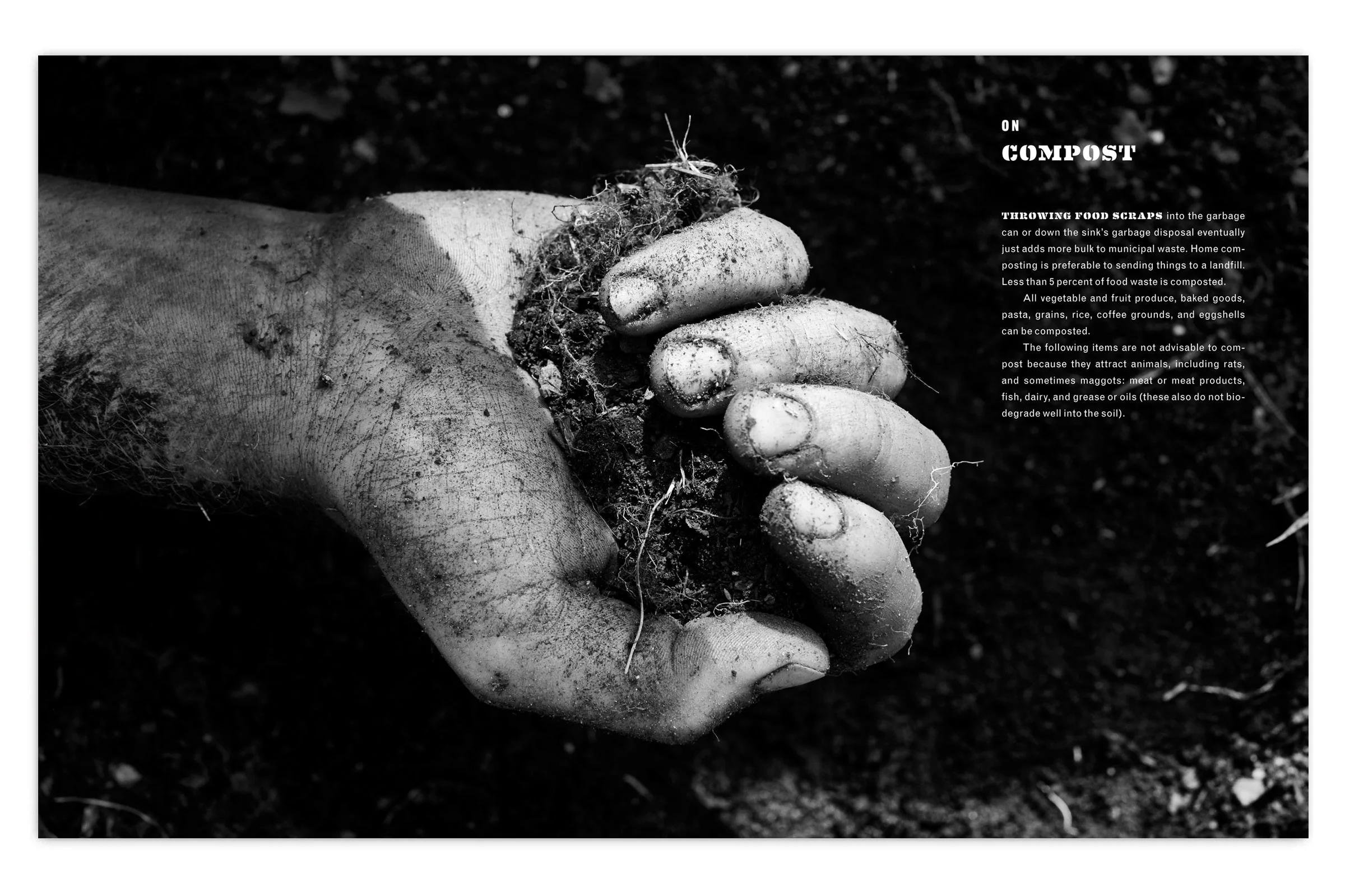 SCRAPS-7.jpg