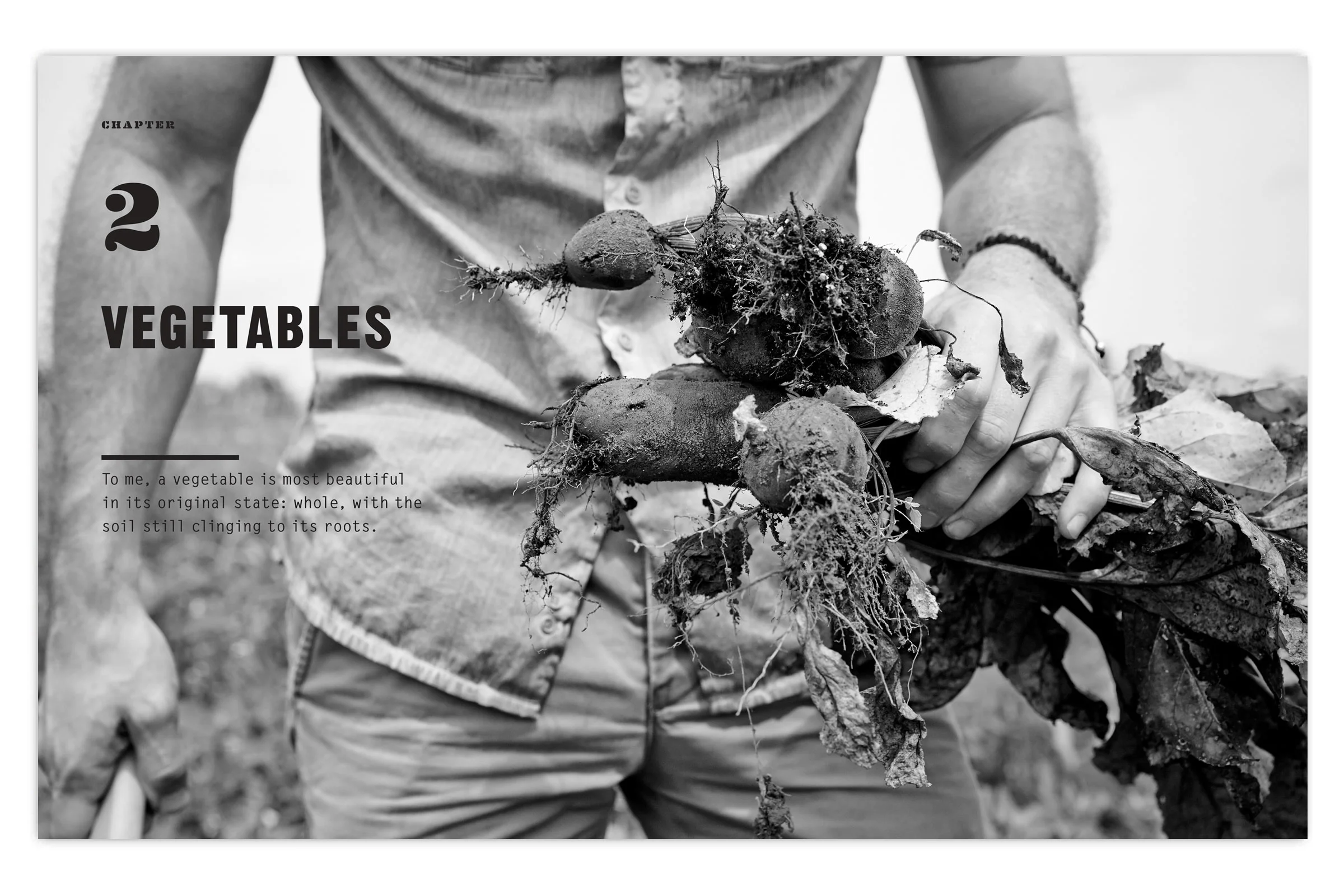 SCRAPS-8.jpg