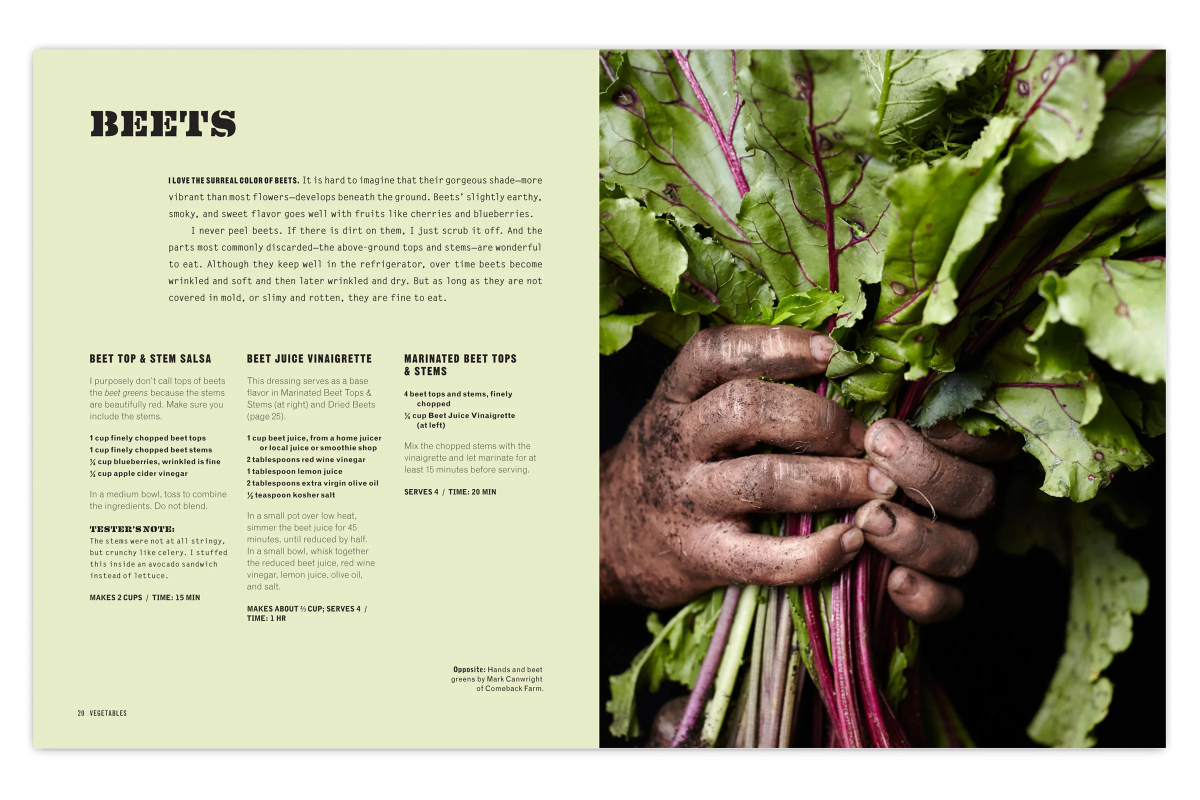 SCRAPS-10.jpg